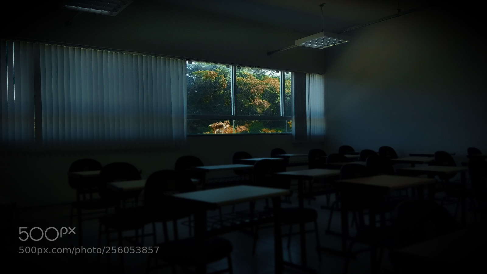 Xiaomi Redmi Note 5A sample photo. Green window photography