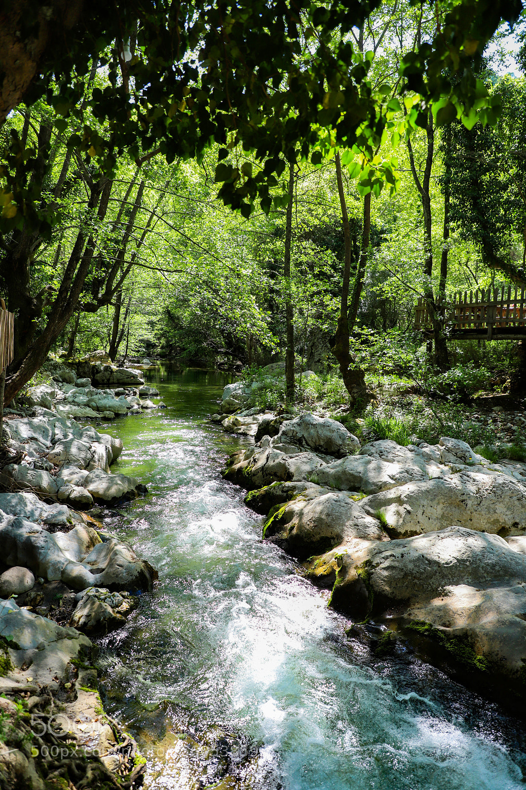 Canon EOS 6D Mark II sample photo. Village nature photography