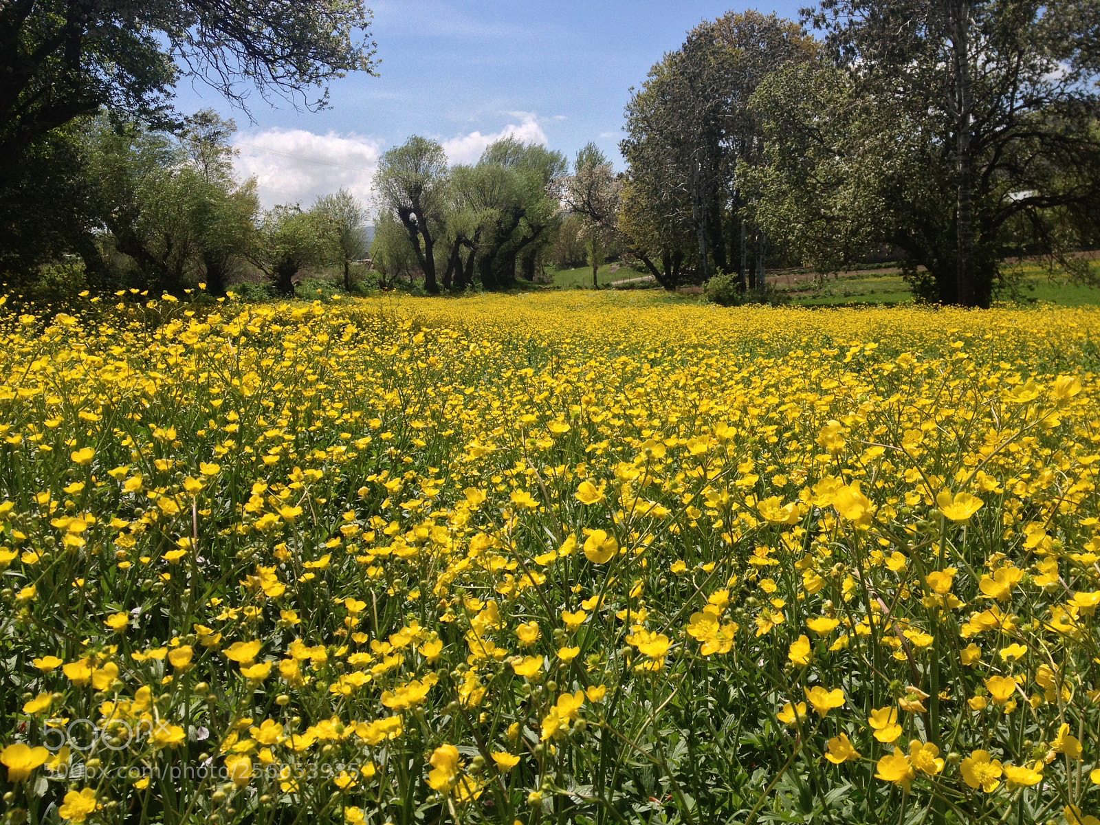 Apple iPhone 4S sample photo. Beautiful nature  photography