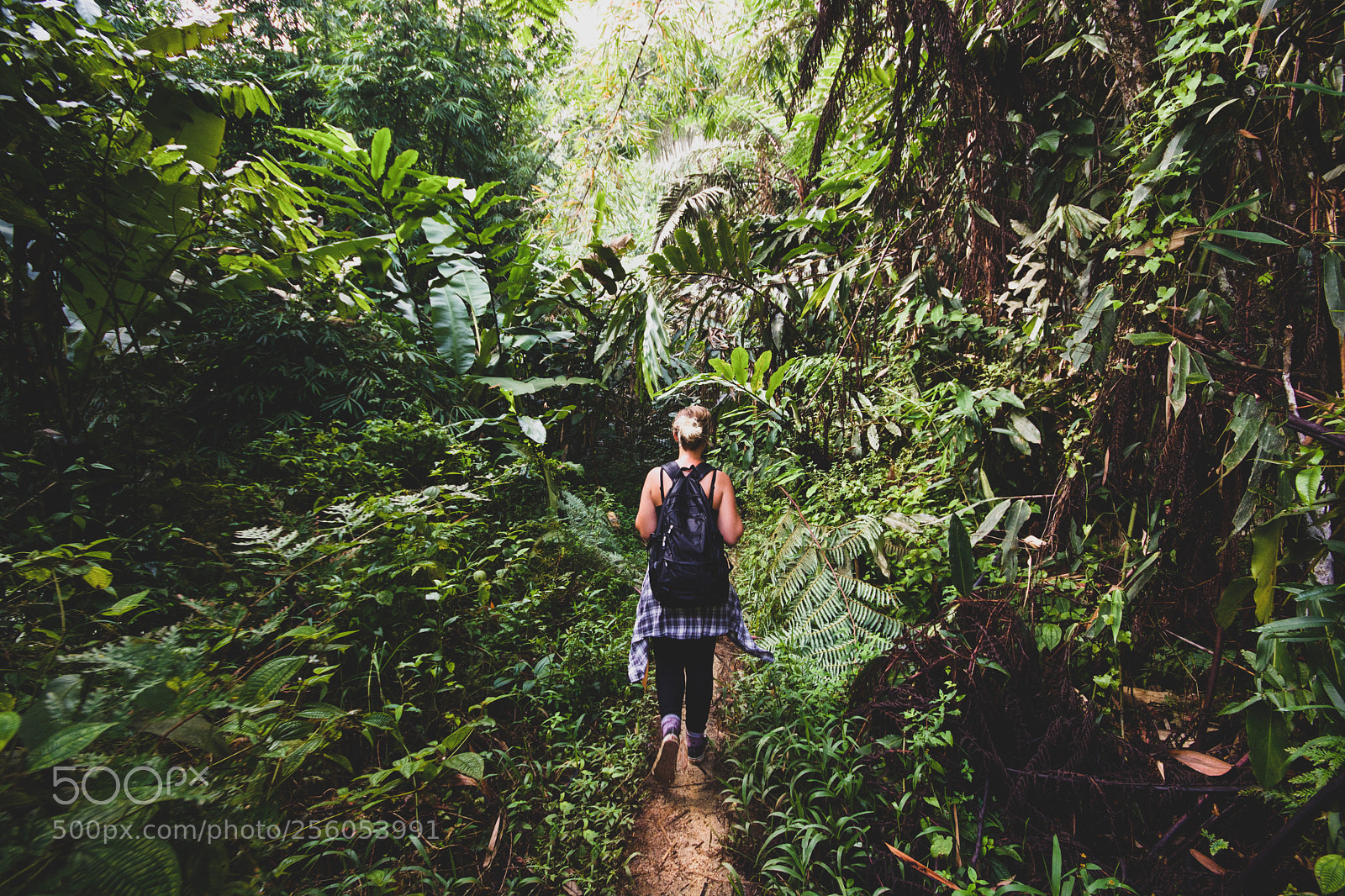 Nikon D7100 sample photo. Forest's brave girl photography