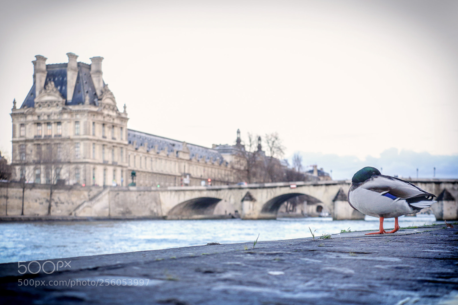 Canon EOS 650D (EOS Rebel T4i / EOS Kiss X6i) sample photo. Streets of paris - 12 photography
