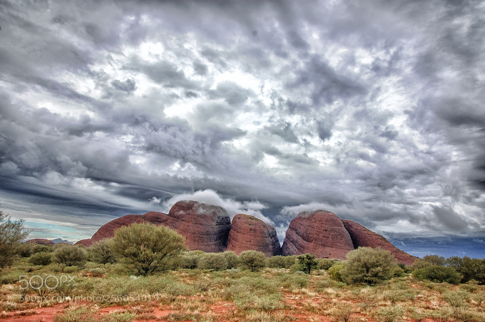 Nikon D70 sample photo. Tour uluru und kings photography