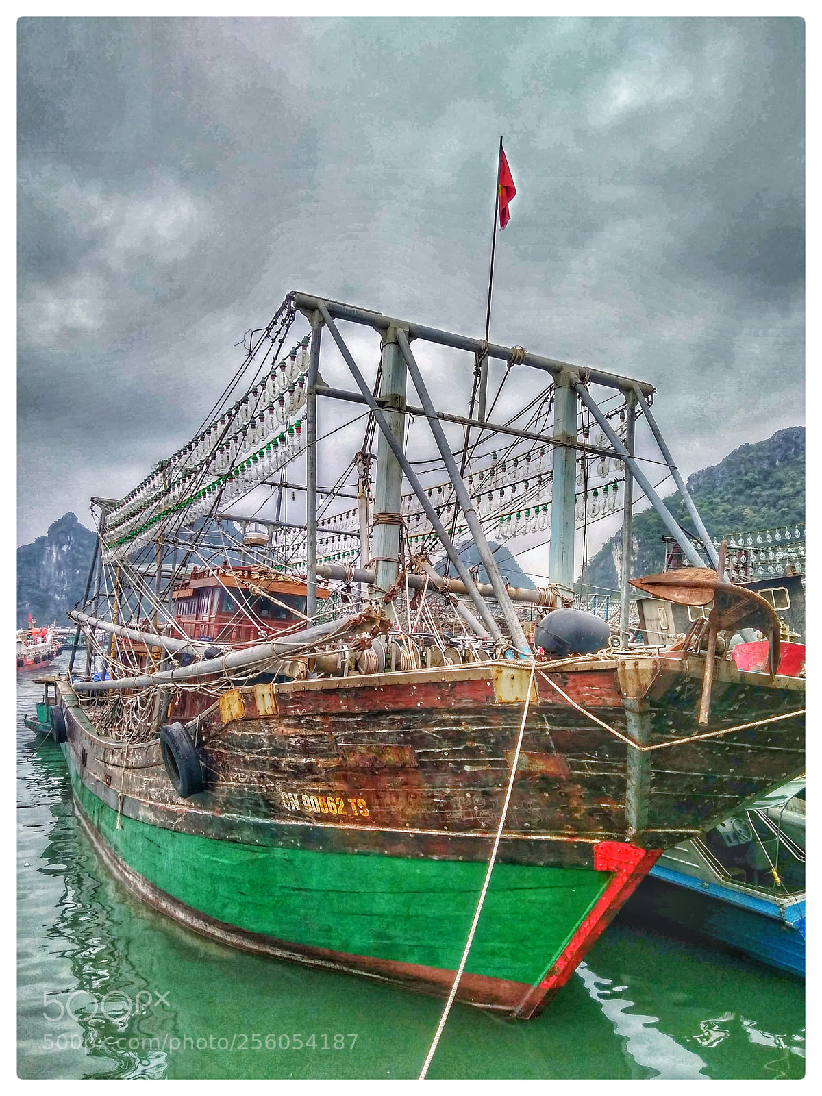 Xiaomi Redmi 4 Pro sample photo. Tàu mực photography