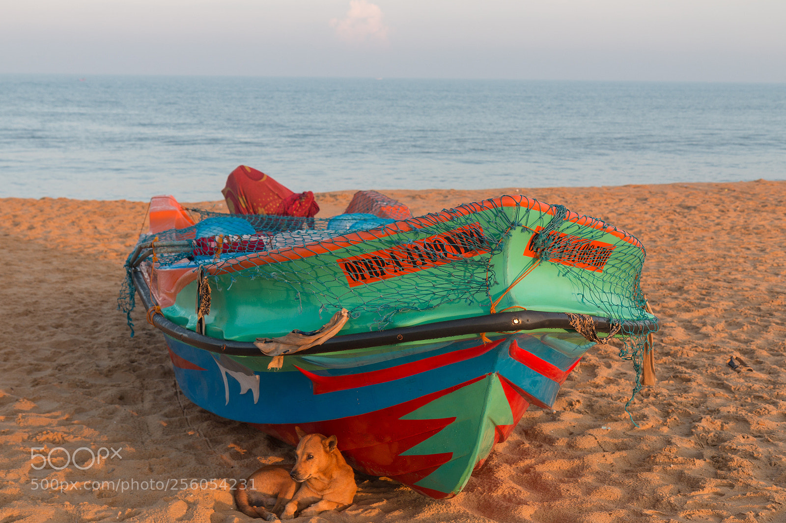 Canon EOS 70D sample photo. Sri lanka photography