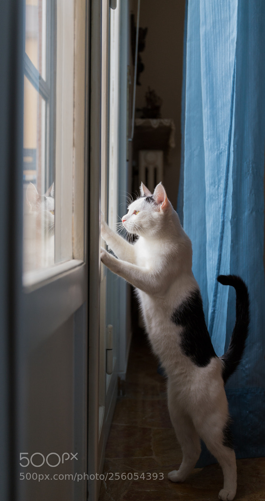 Canon EOS 6D Mark II sample photo. Quando torni - when photography