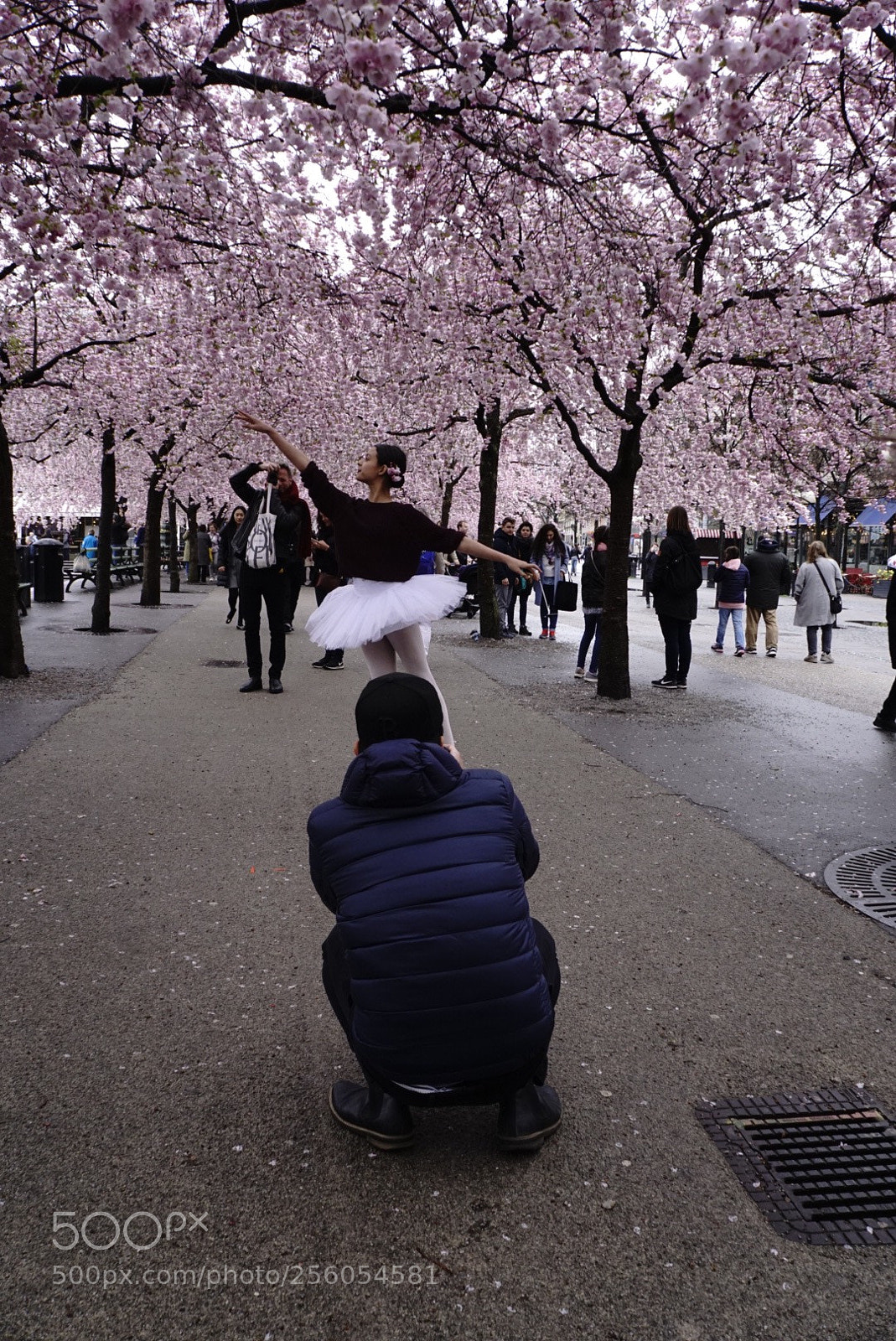 Sony a6000 sample photo. Kungsträdgården 
stockholm photography