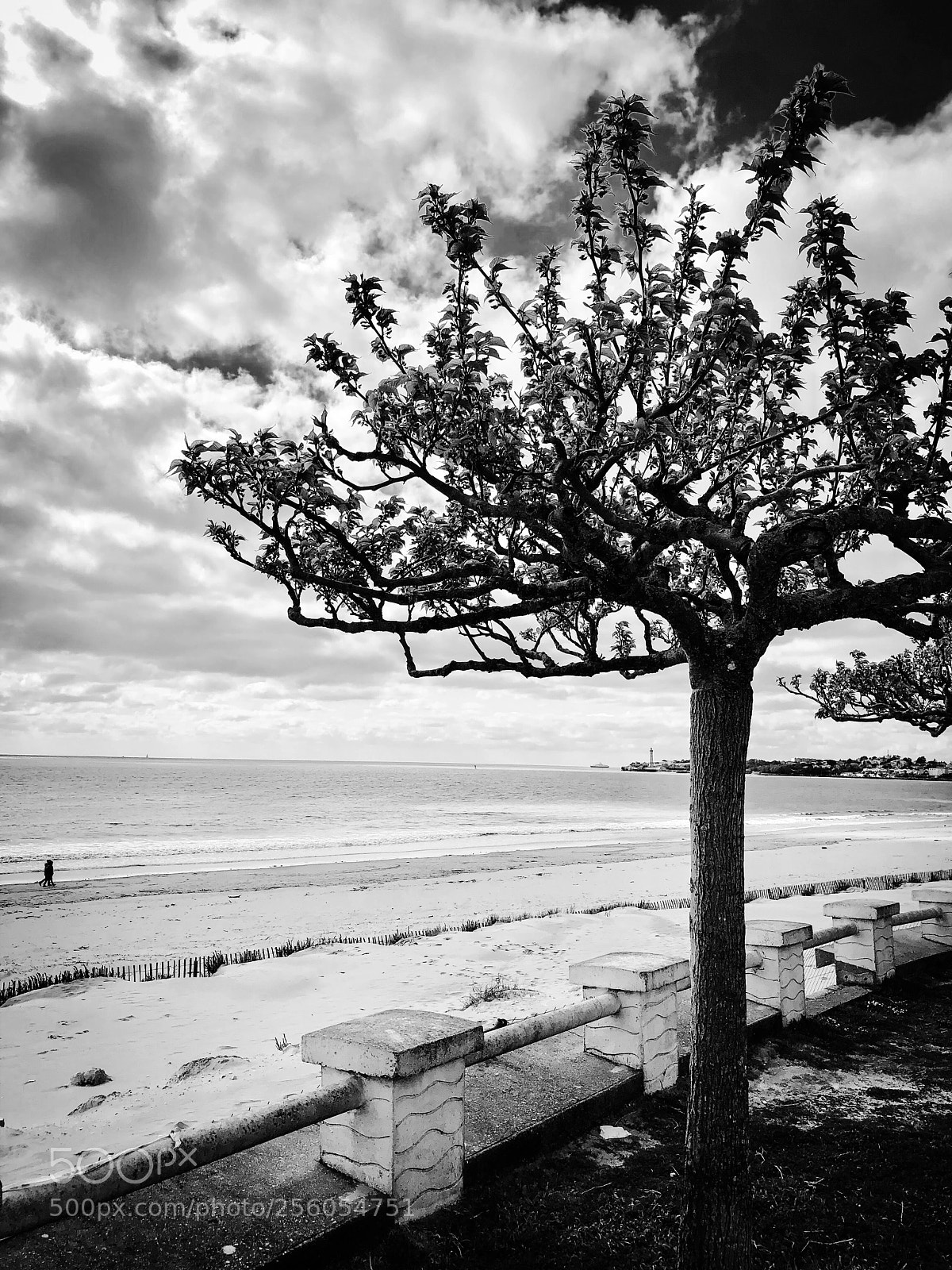 Apple iPhone 8 Plus sample photo. Saint-georges-de-didonne (france) photography