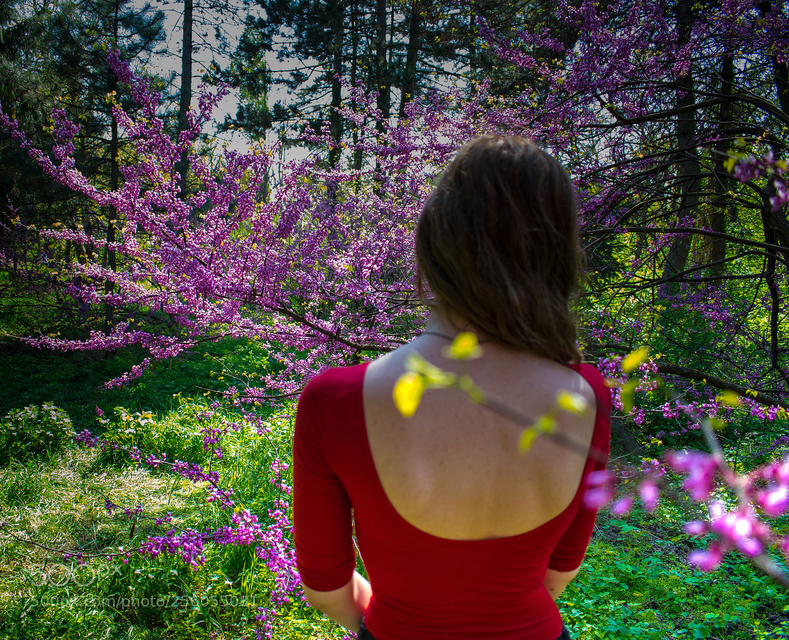 Nikon D5300 sample photo. Spring is here photography