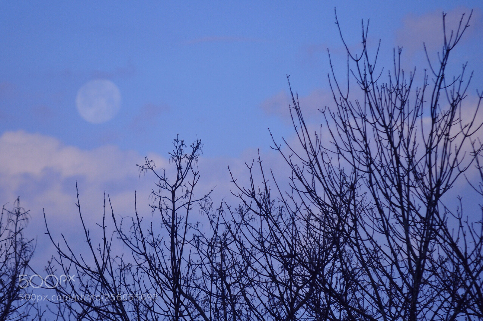 Nikon D5000 sample photo. Morning moon set photography