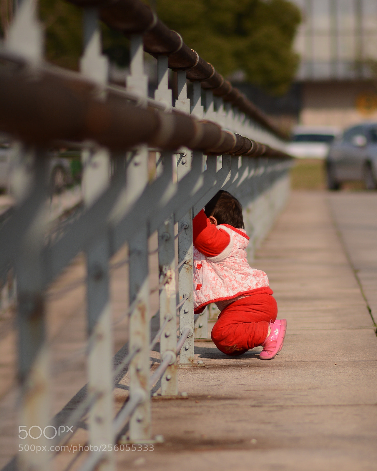 Nikon D7100 sample photo. Untitled photography