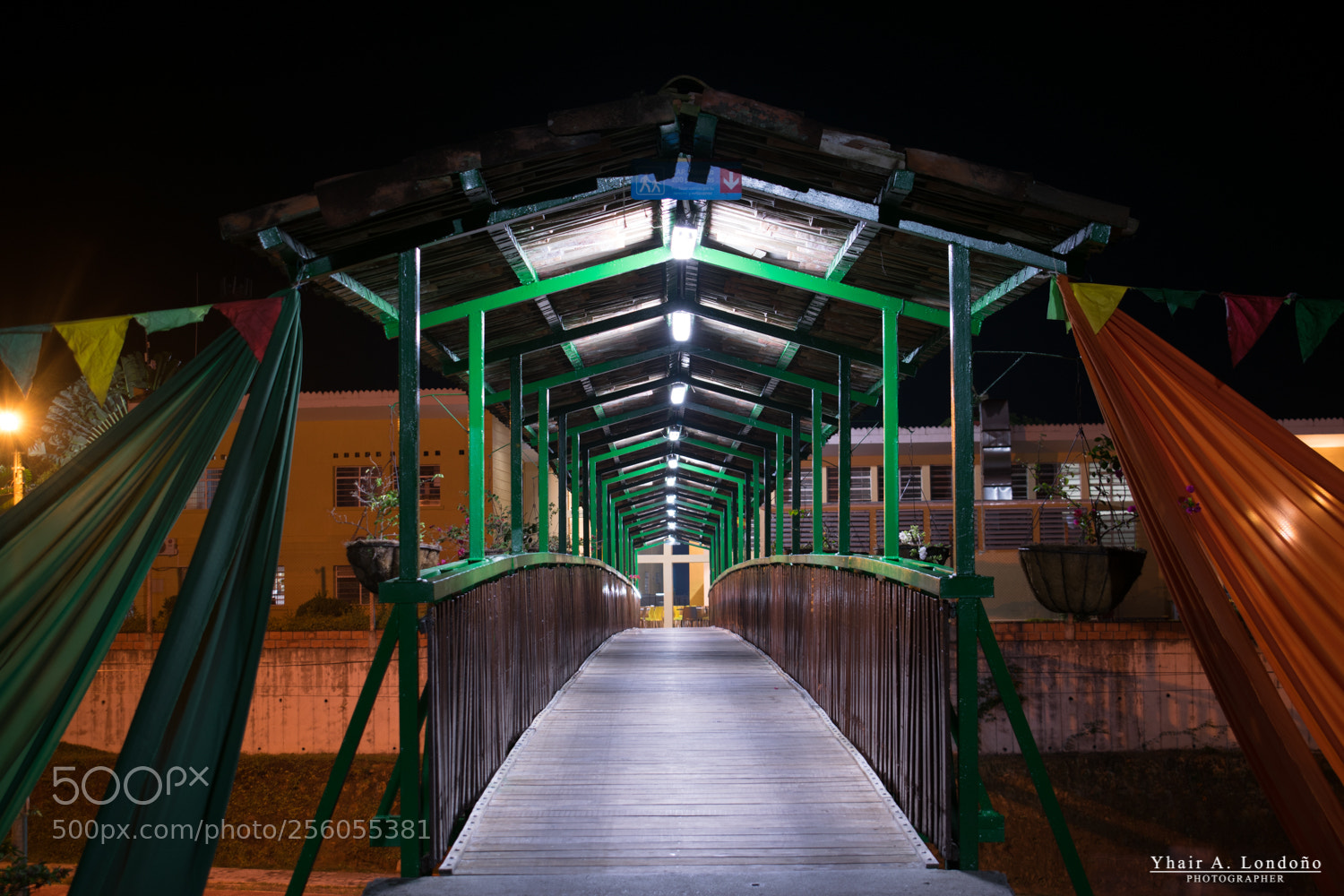 Nikon D5300 sample photo. Bridge photography