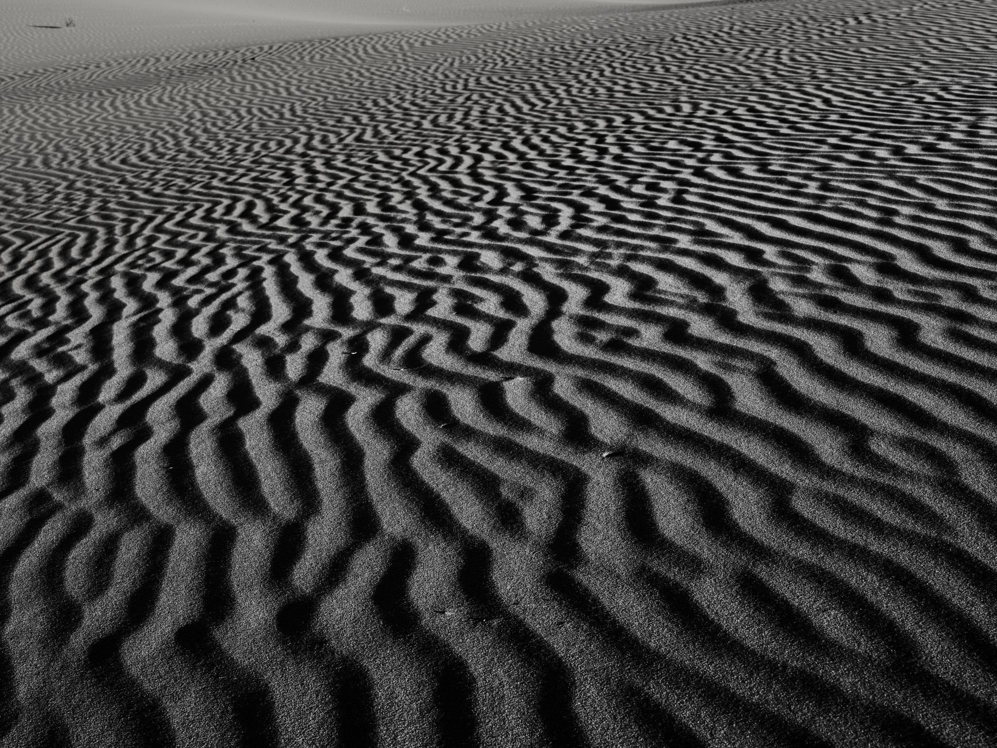 Hasselblad H6D sample photo