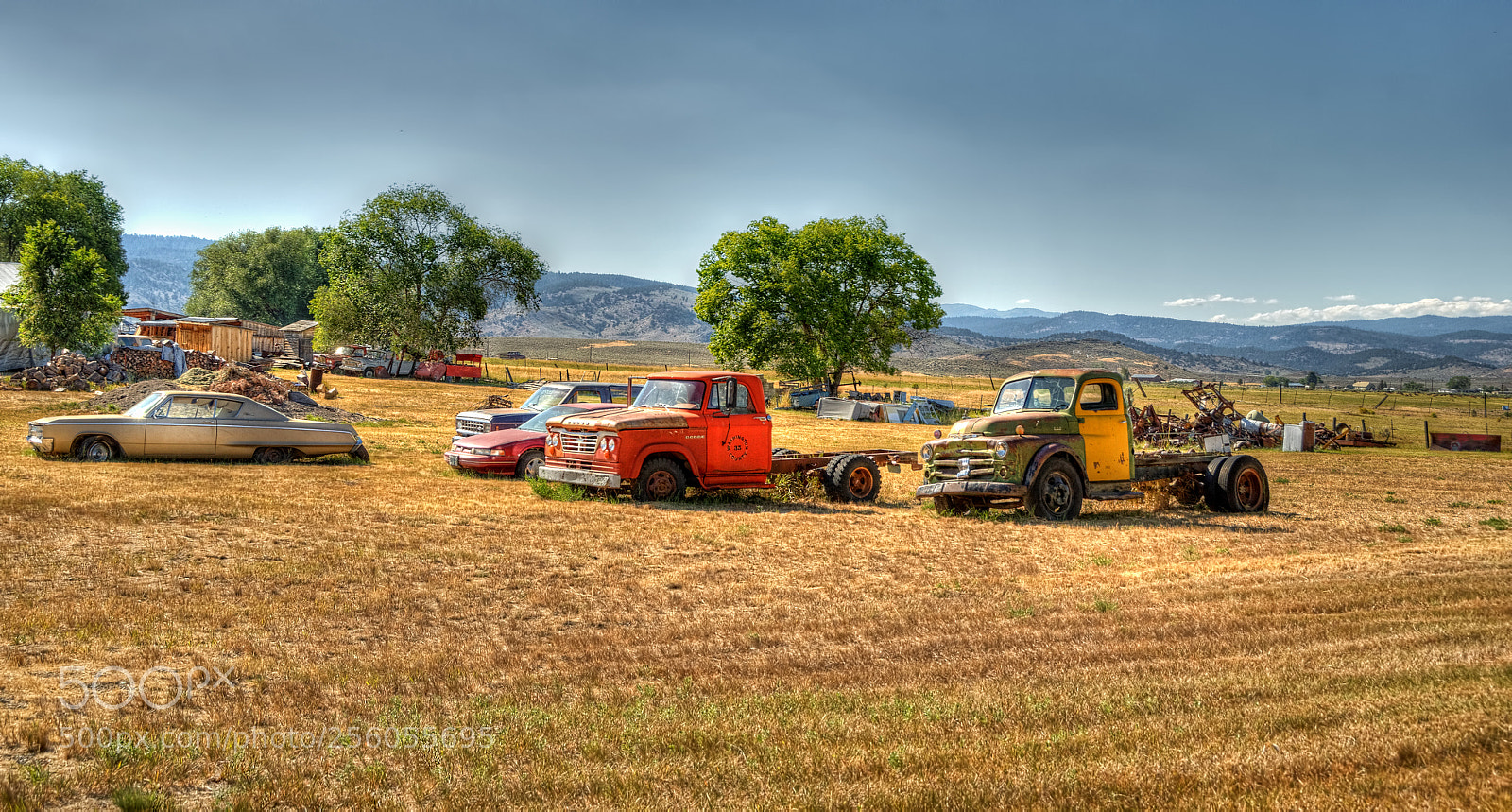 Nikon D5100 sample photo. Chillin' in the field photography