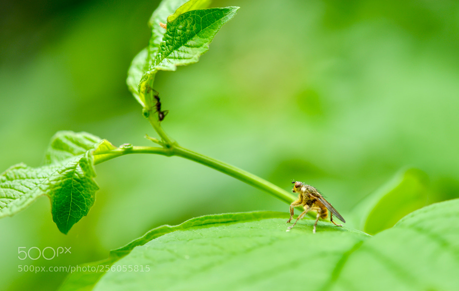 Nikon D800 sample photo. Untitled photography