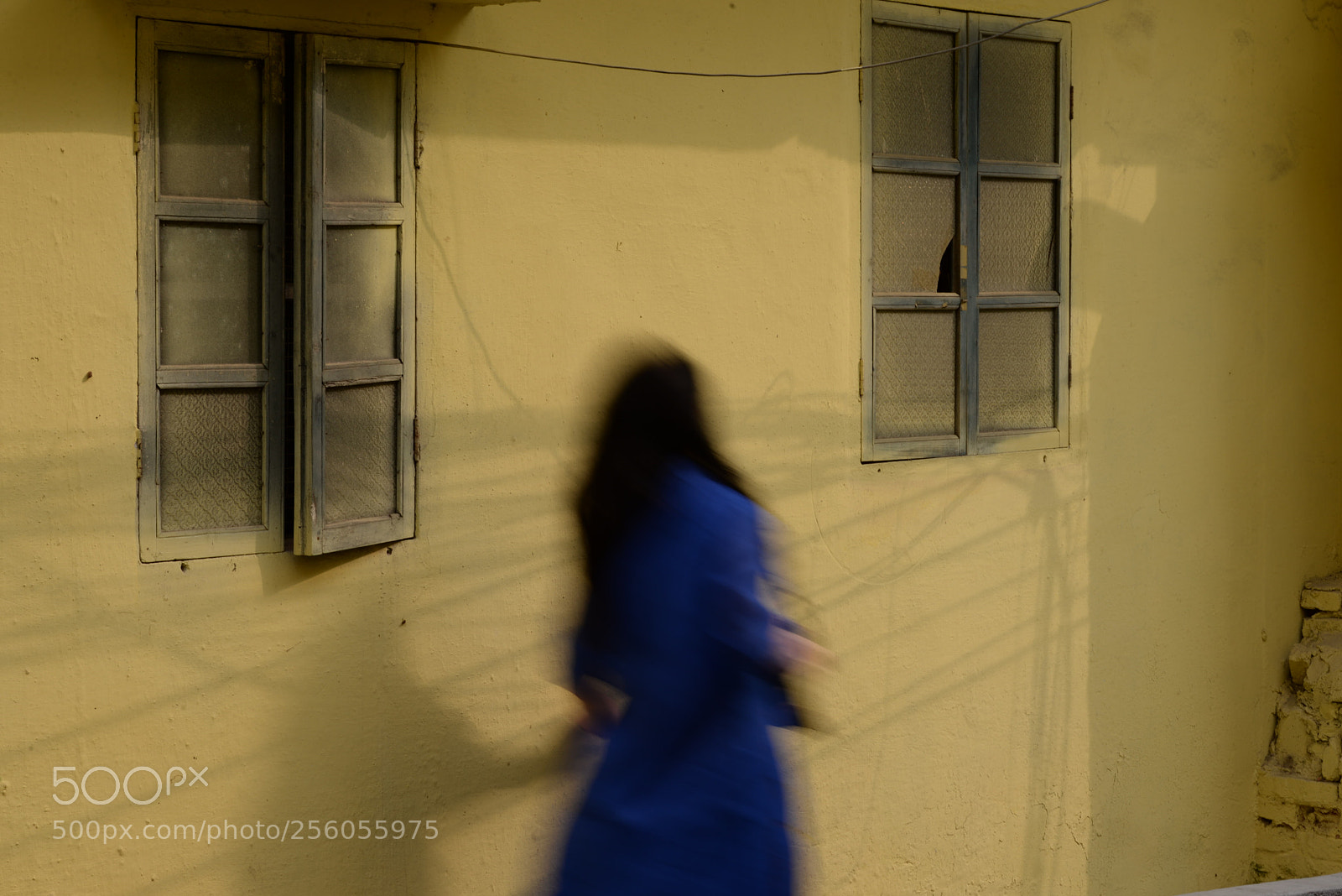 Nikon D610 sample photo. Untitled photography