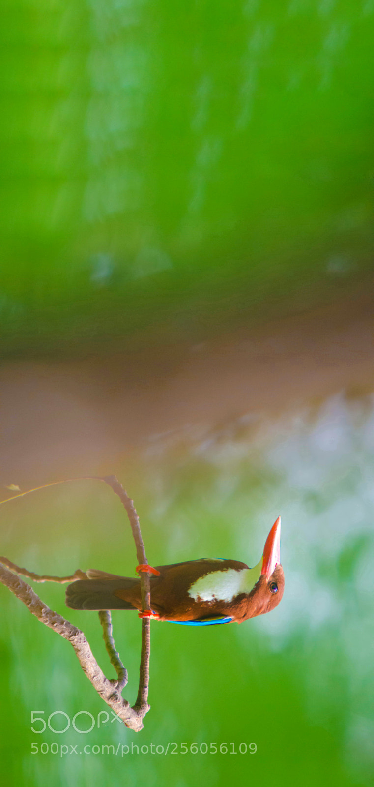 Nikon D7000 sample photo. Untitled photography