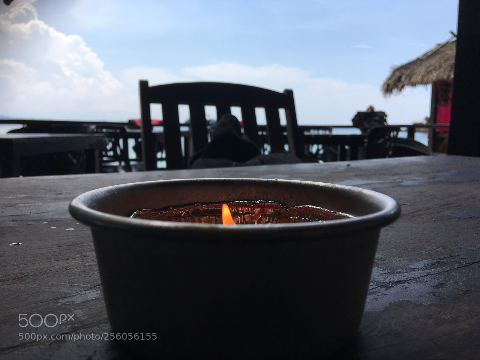 Apple iPhone 6s Plus sample photo. Untitled photography