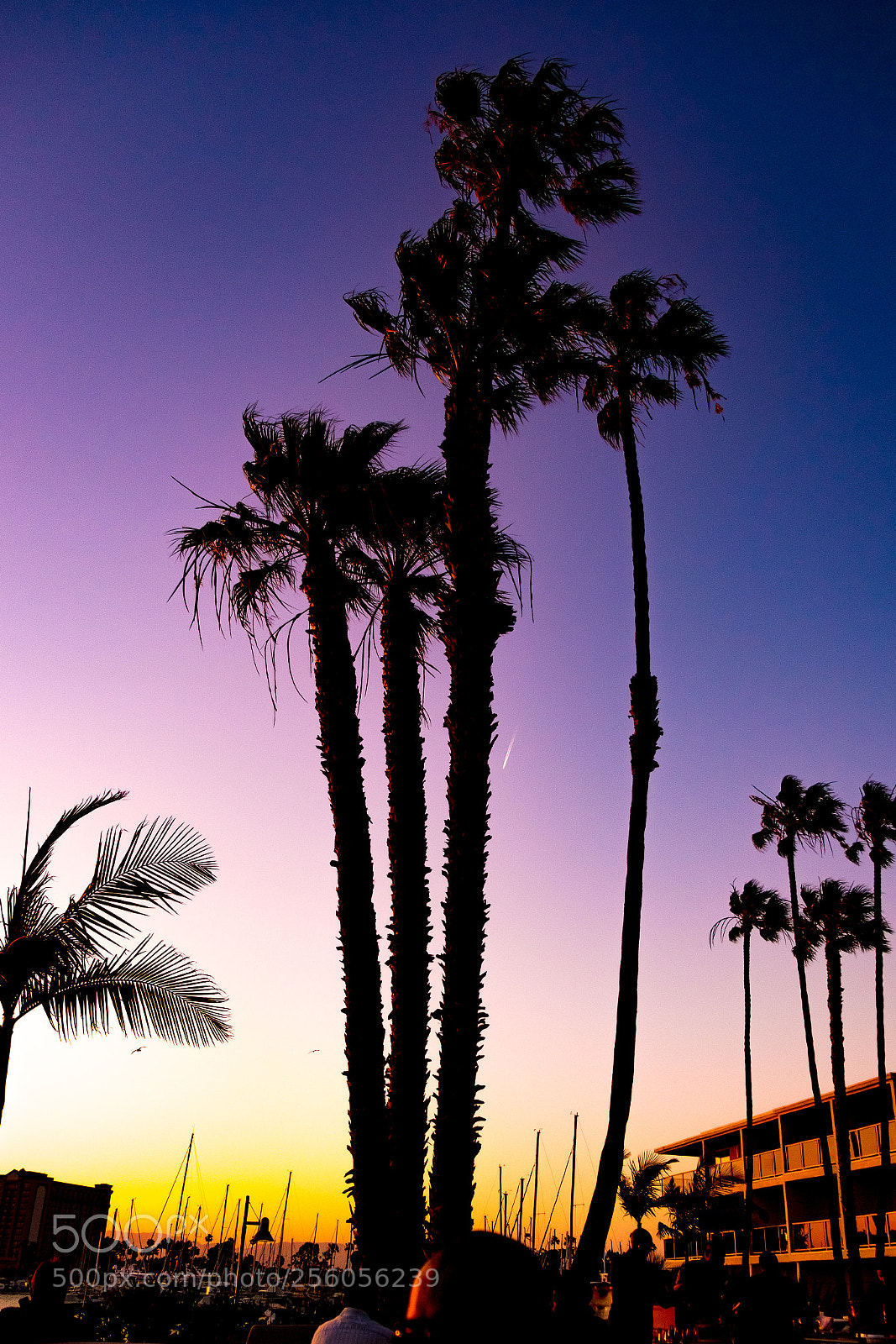Fujifilm X-E3 sample photo. Marina del rey sunset photography