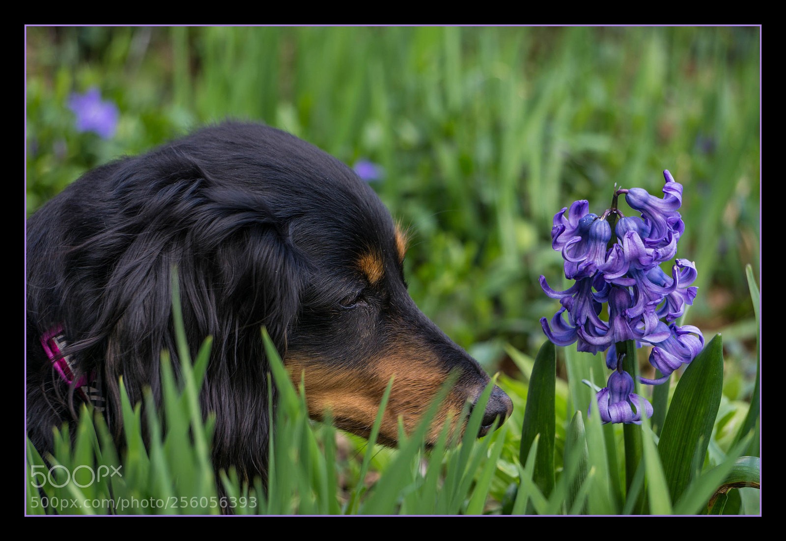 Sony a6000 sample photo. A closer look photography