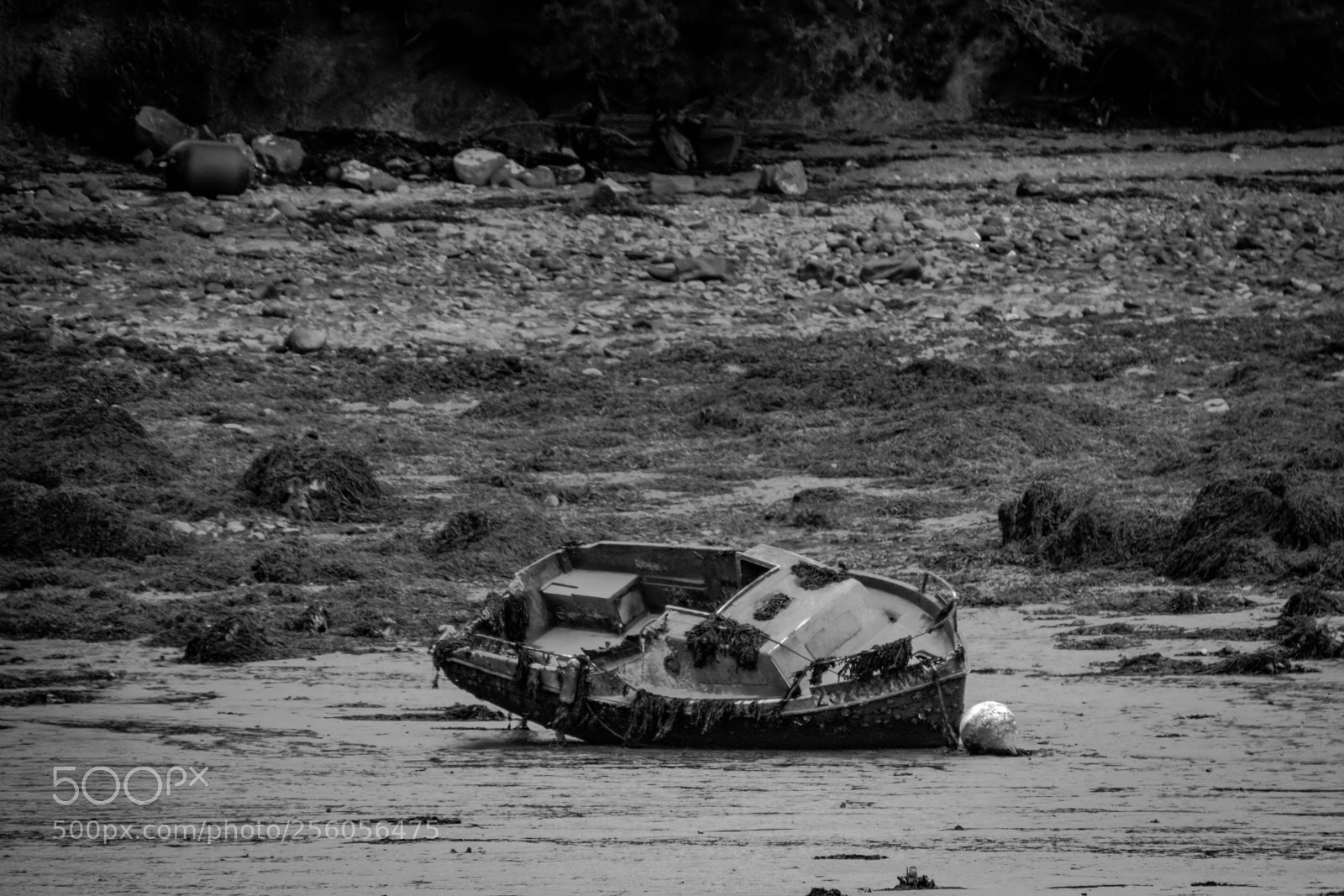 Canon EOS 750D (EOS Rebel T6i / EOS Kiss X8i) sample photo. Wreck (brittany - france) photography