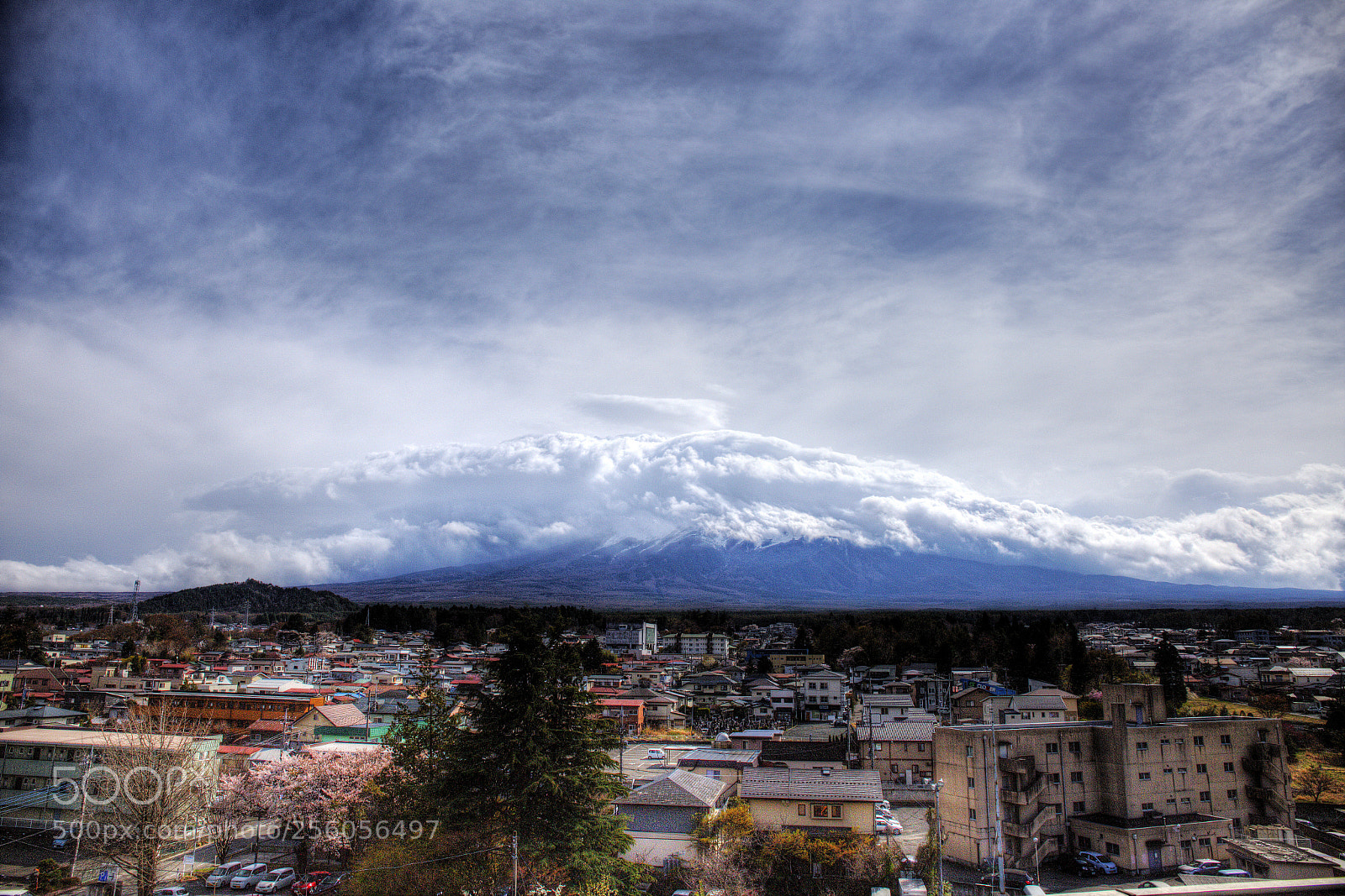 Canon EF 24-70mm F4L IS USM sample photo. 富士山麓 photography