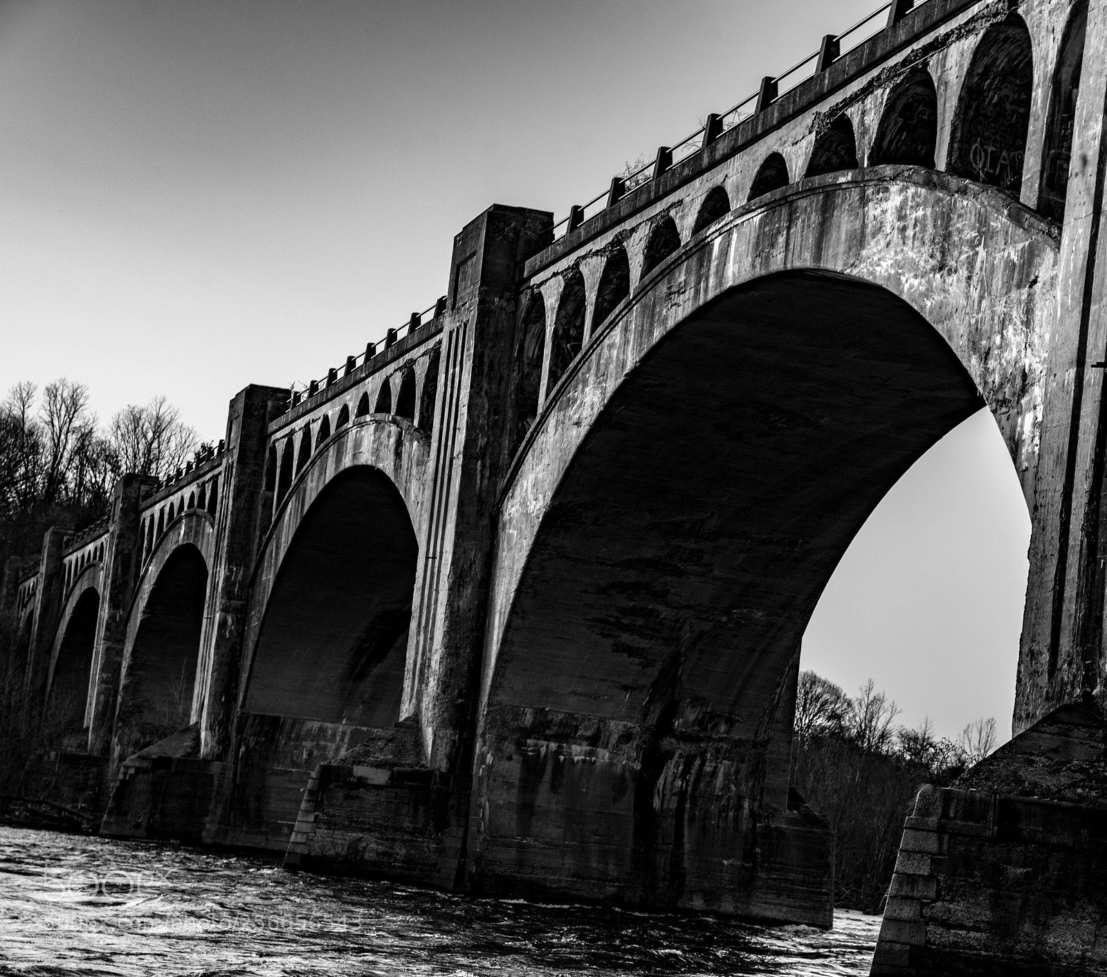 Nikon D750 sample photo. Untitled photography