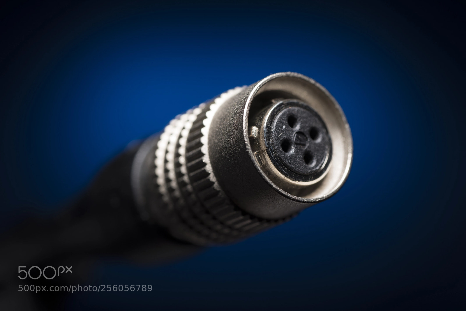 Nikon D750 sample photo. Macro - audio technica photography