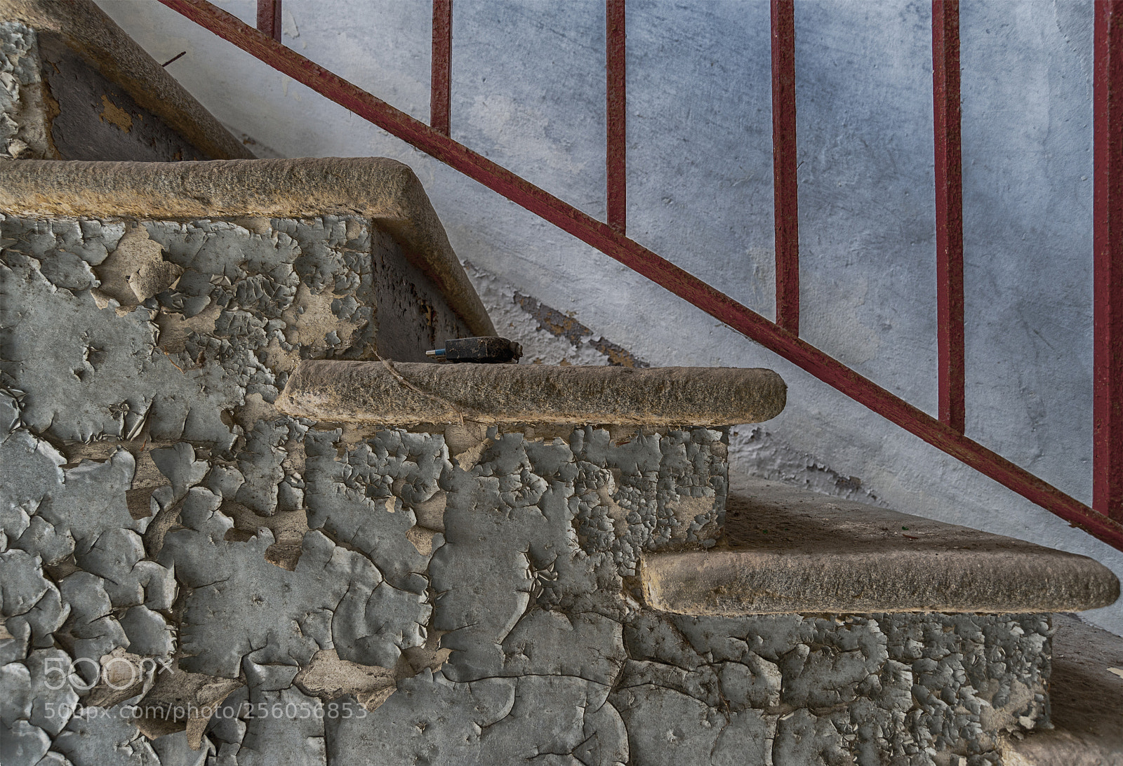 Nikon D610 sample photo. Up or down within photography