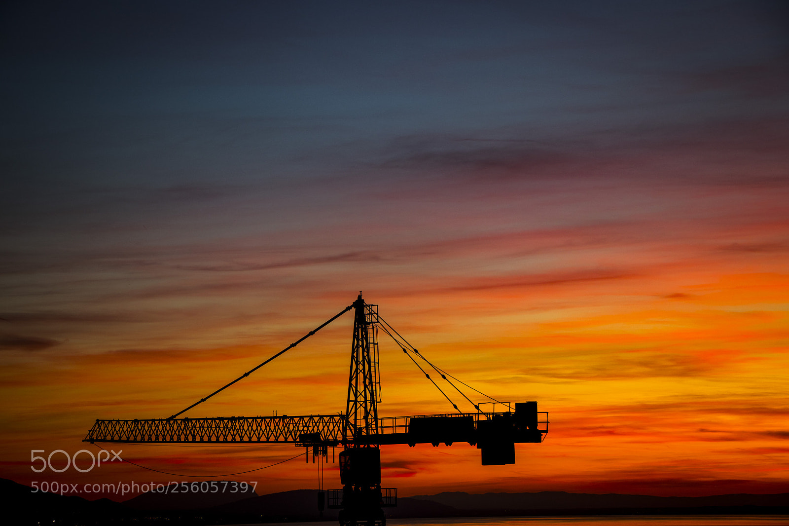 Canon EOS 77D (EOS 9000D / EOS 770D) sample photo. Crane of pleonexy photography