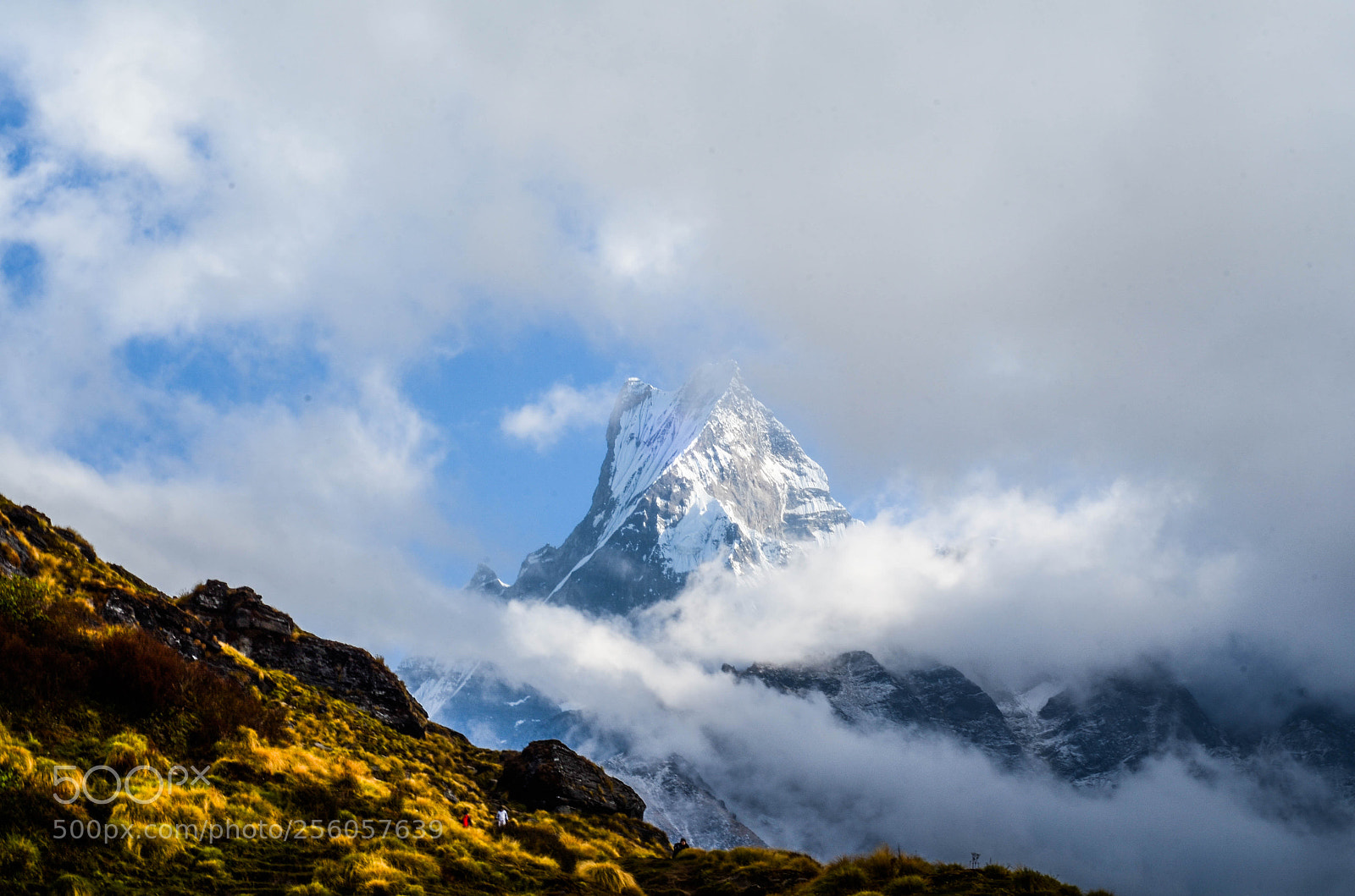 Nikon D5100 sample photo. Machhapuchchhre photography