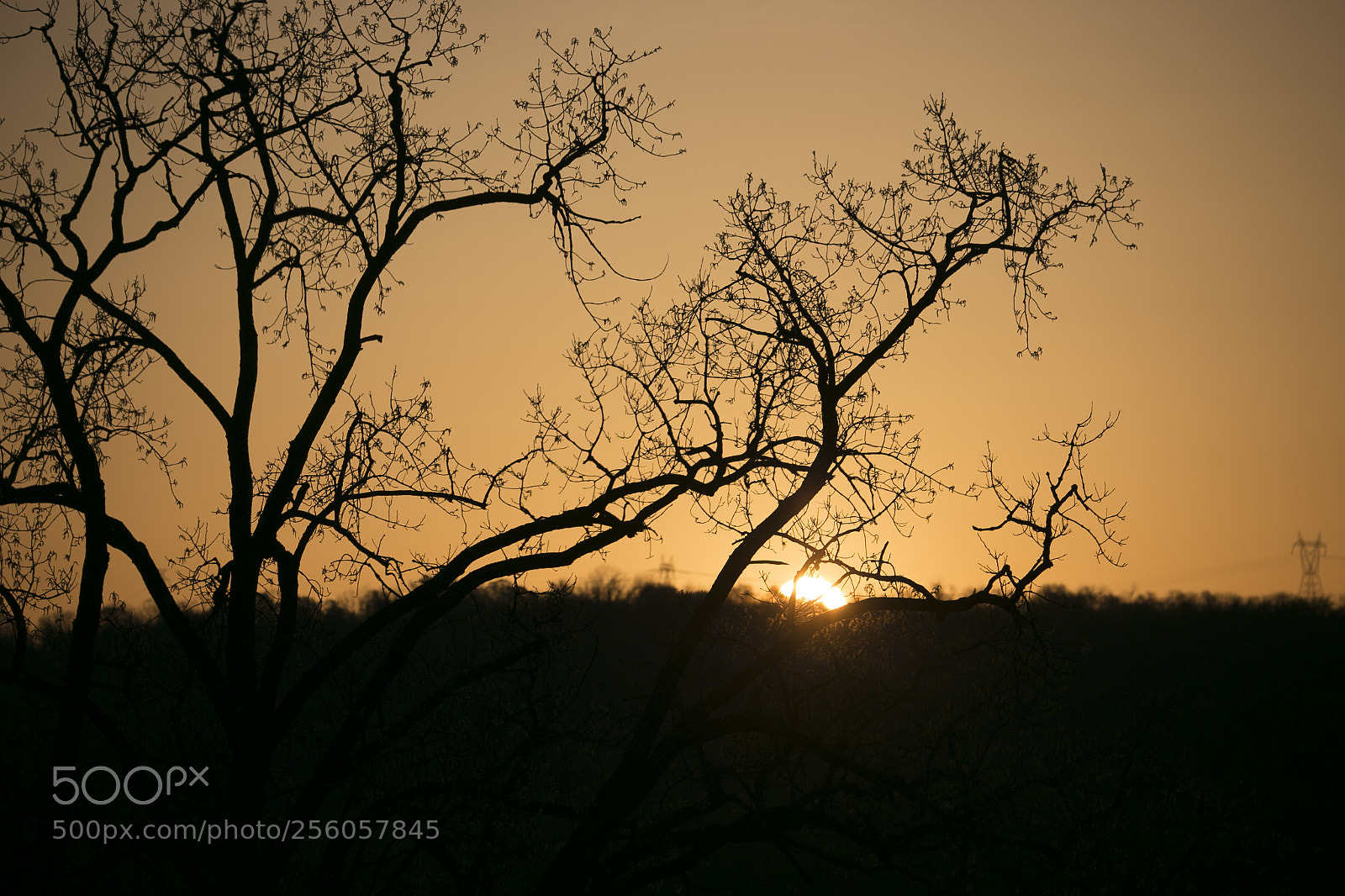 Canon EOS 6D sample photo. 001.jpg photography