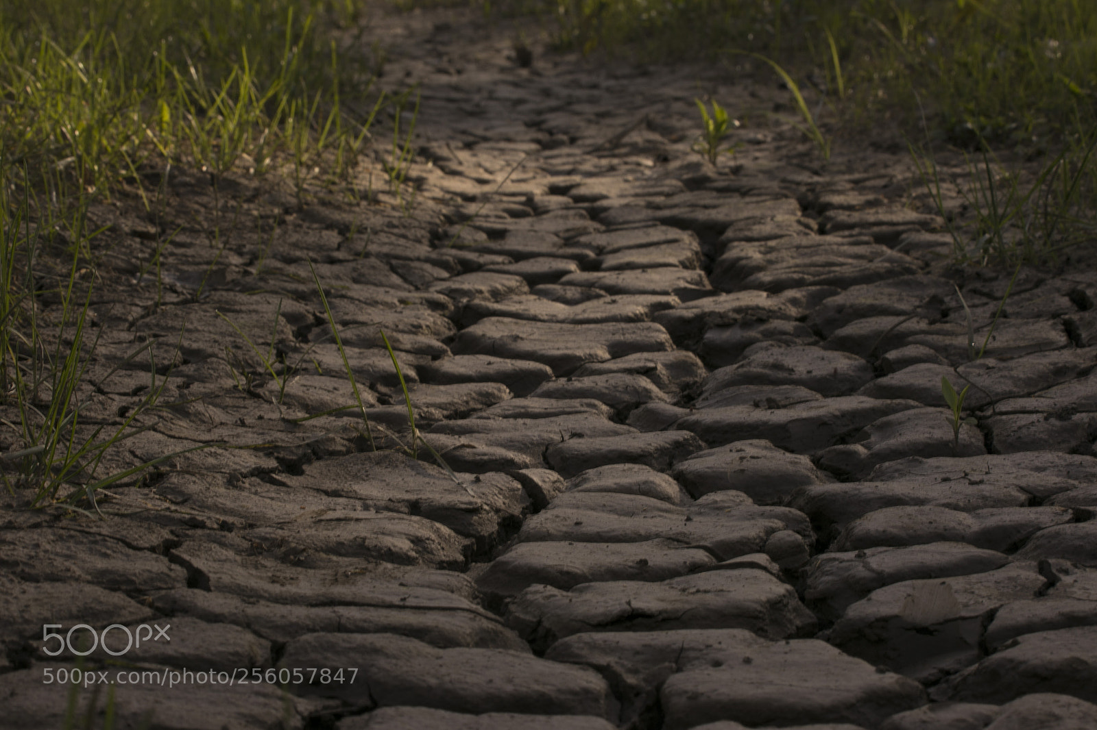Canon EOS 6D sample photo. 034.jpg photography