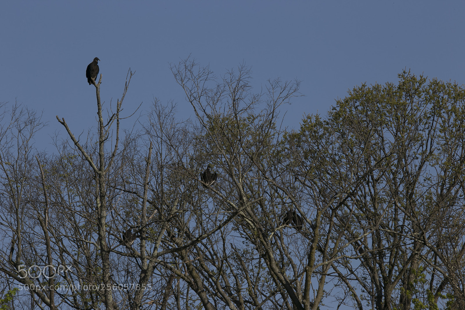 Canon EOS 6D sample photo. 040.jpg photography