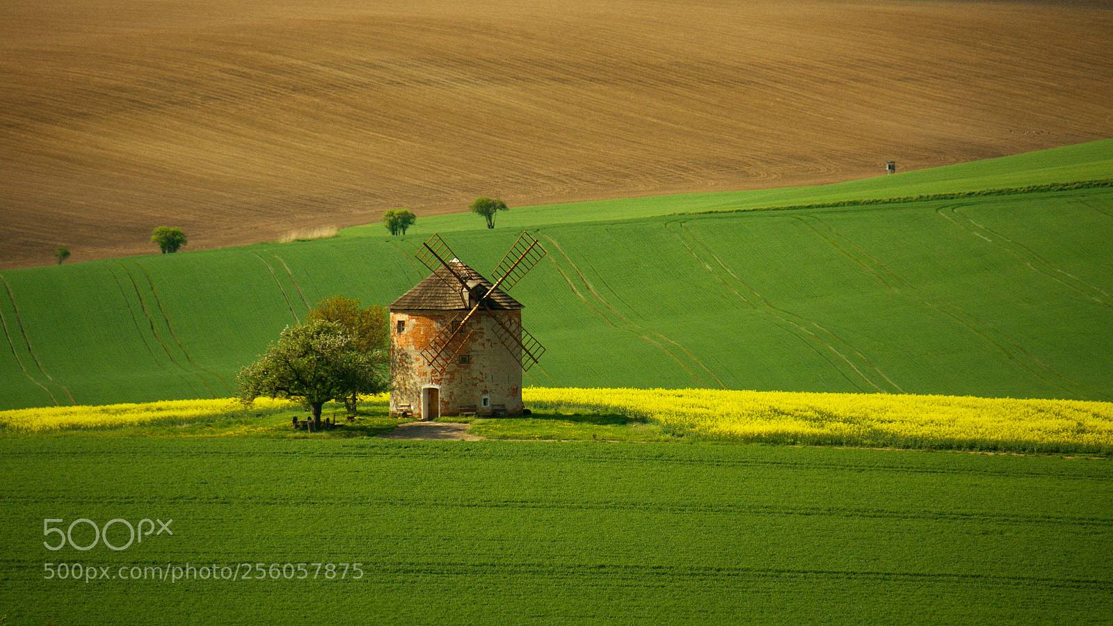 Nikon D7000 sample photo. One more windmill photography