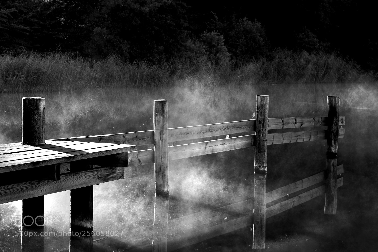 Nikon D600 sample photo. Veils of mist photography