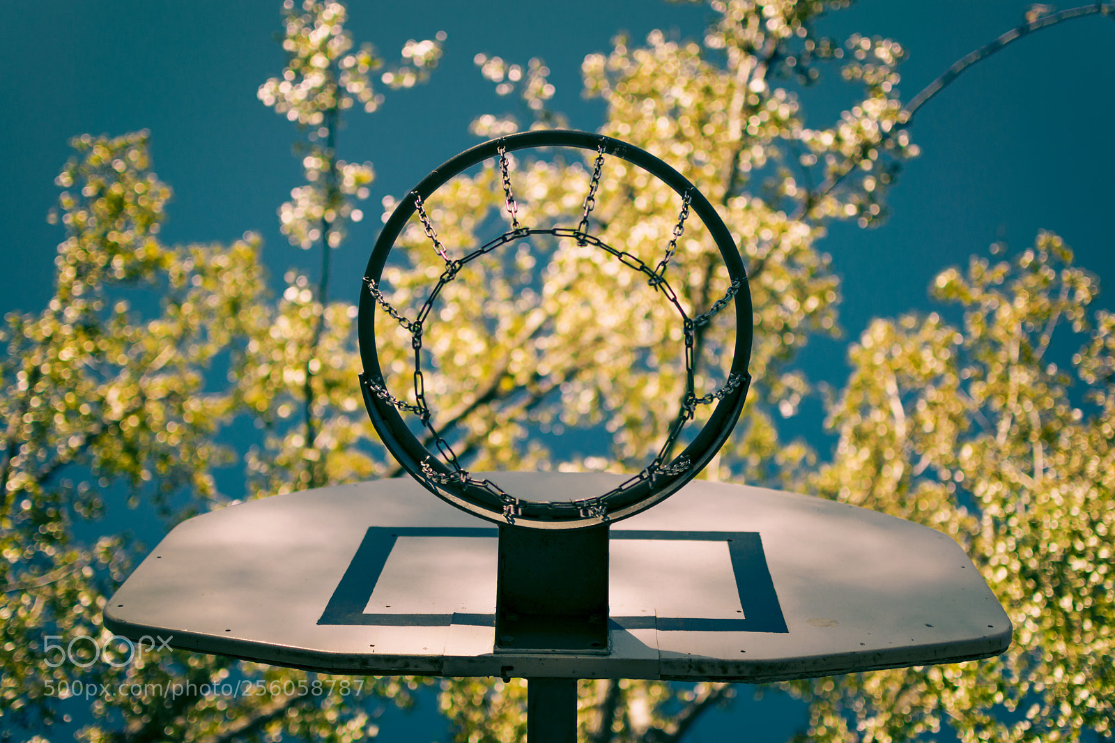 Nikon D5300 sample photo. Motivation photography