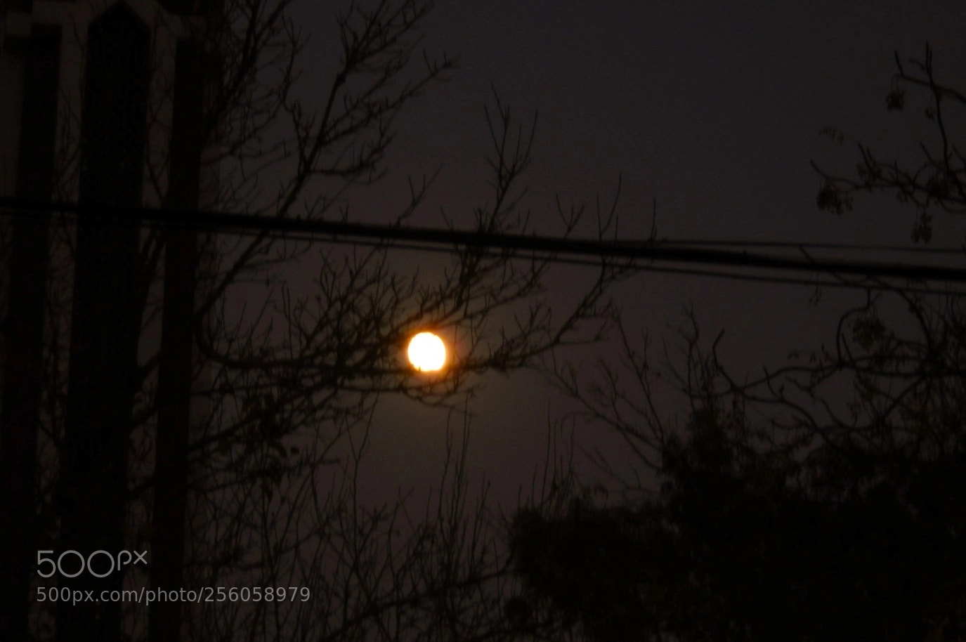 Sony Cyber-shot DSC-W800 sample photo. December 2017 084 photography