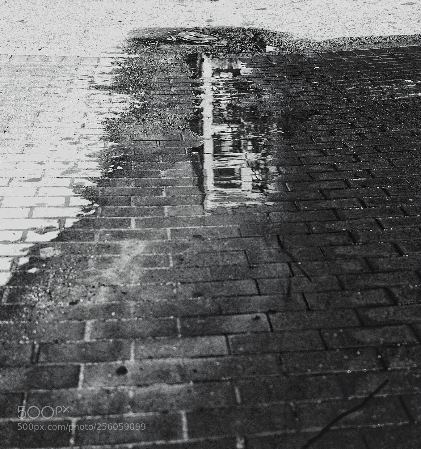 Olympus OM-D E-M5 II sample photo. Under the ground photography