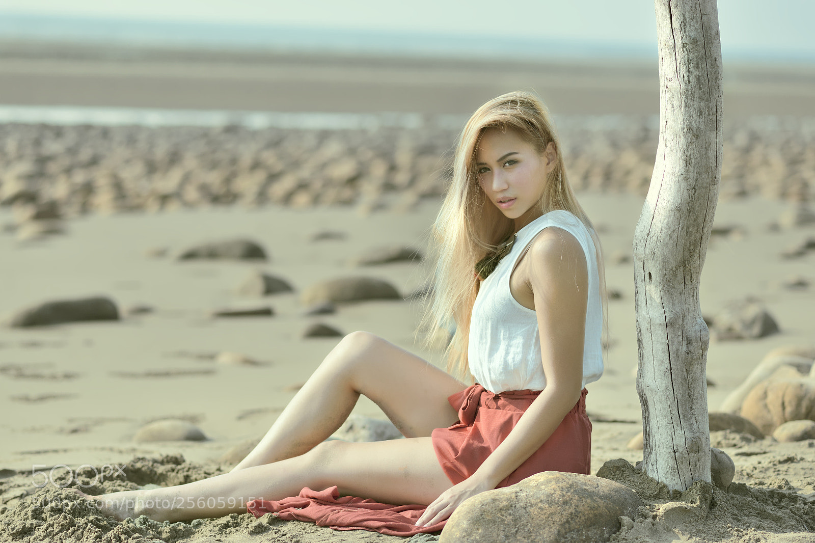 Nikon D810 sample photo. Fresh breeze photography