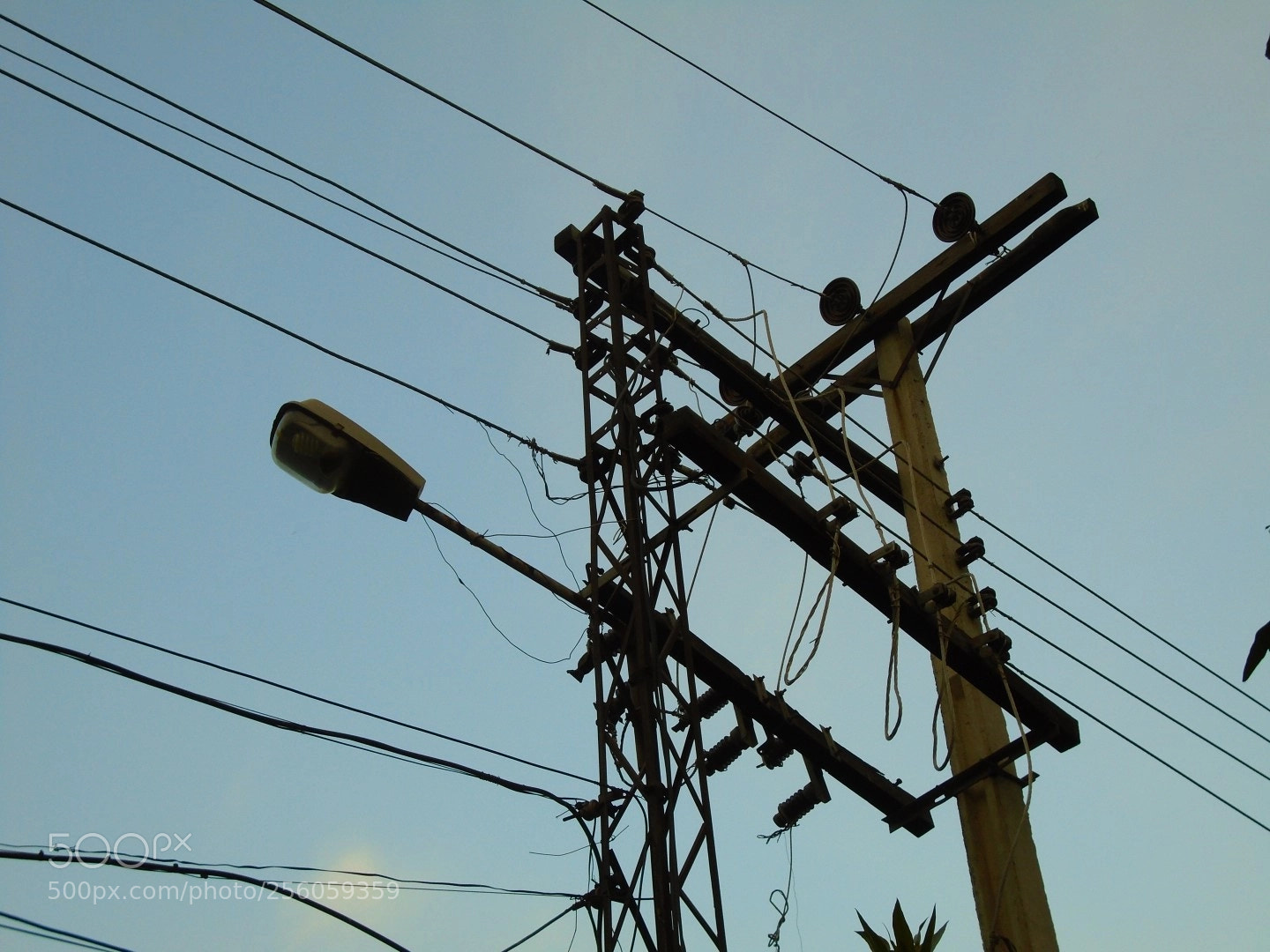 Sony Cyber-shot DSC-W800 sample photo. December 2017 091 photography