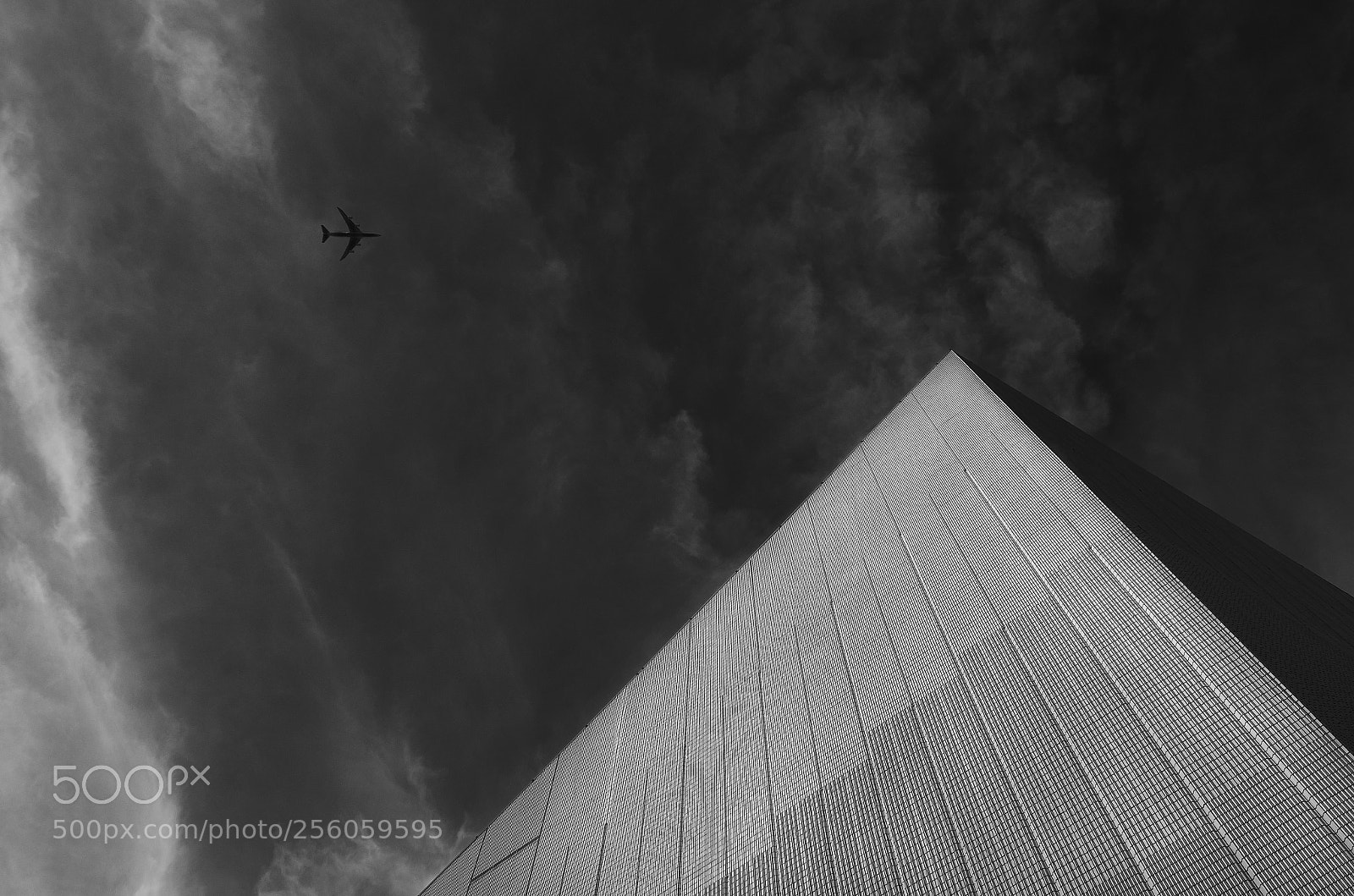 Nikon D5100 sample photo. Black and white in photography