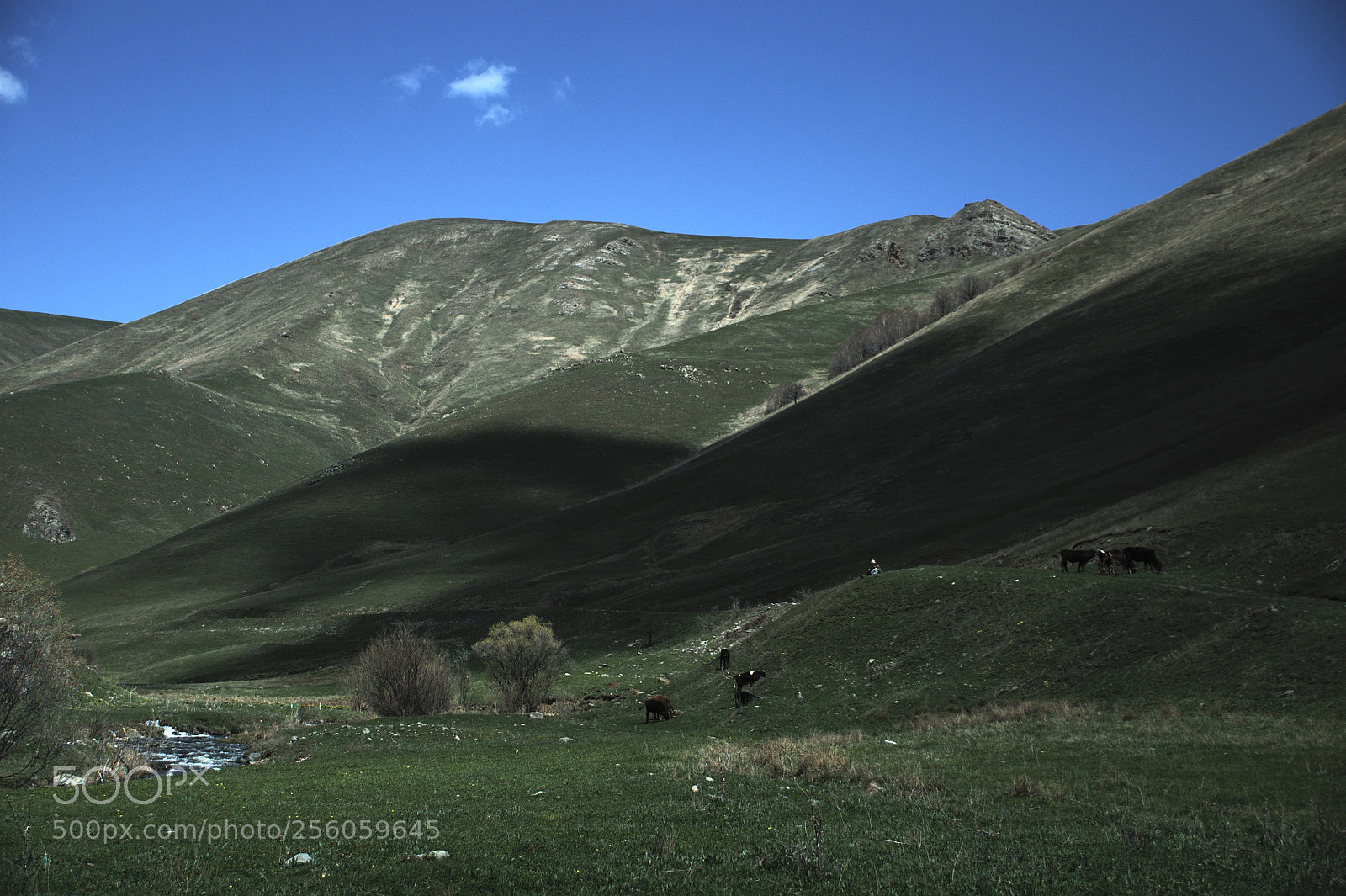 Nikon D5000 sample photo. Nature in hankavan2 photography