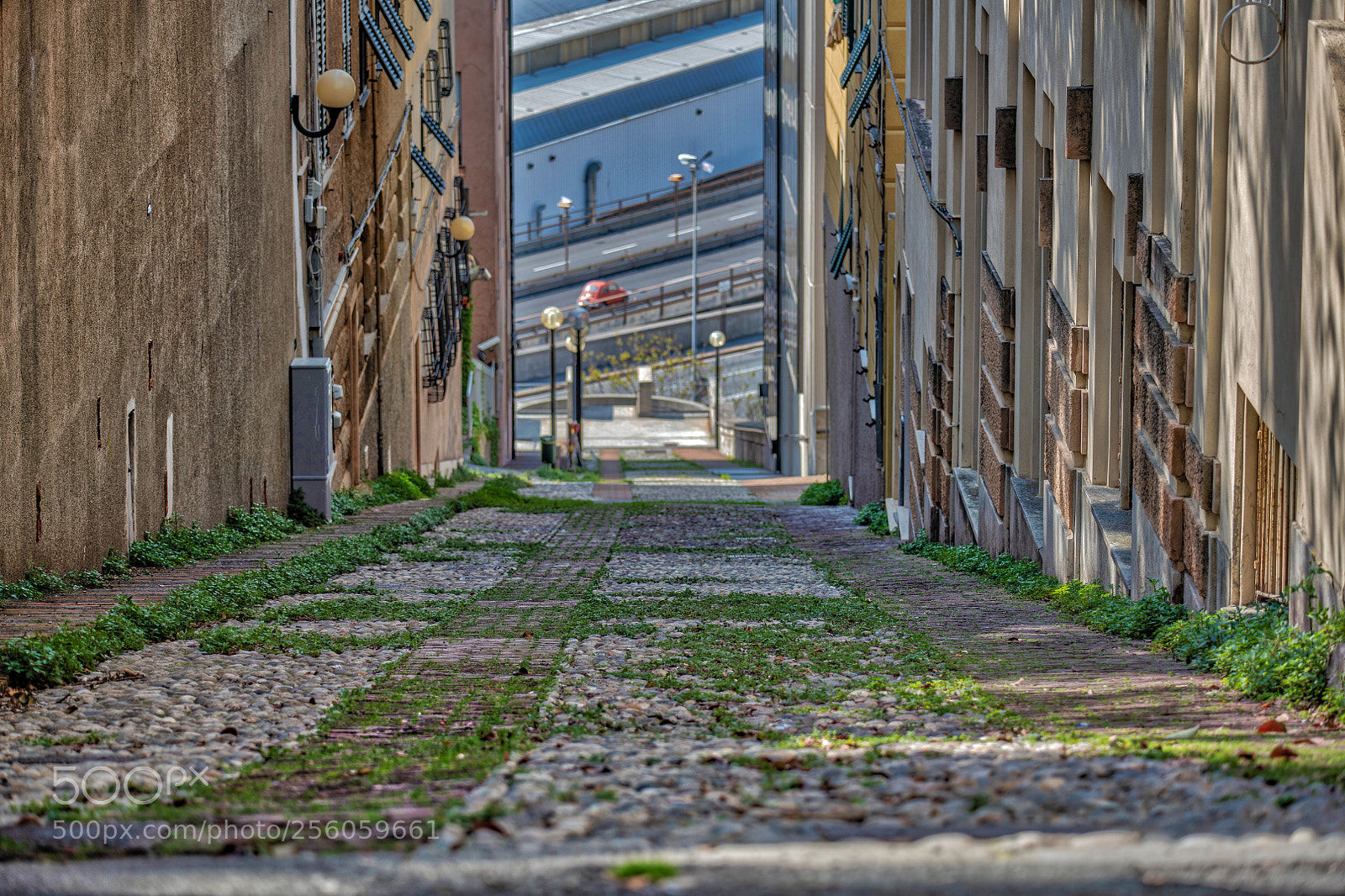 Nikon D850 sample photo. Grass in a cobblestones photography
