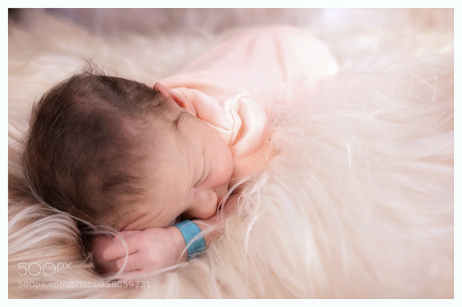 Nikon D7100 sample photo. Untitled photography
