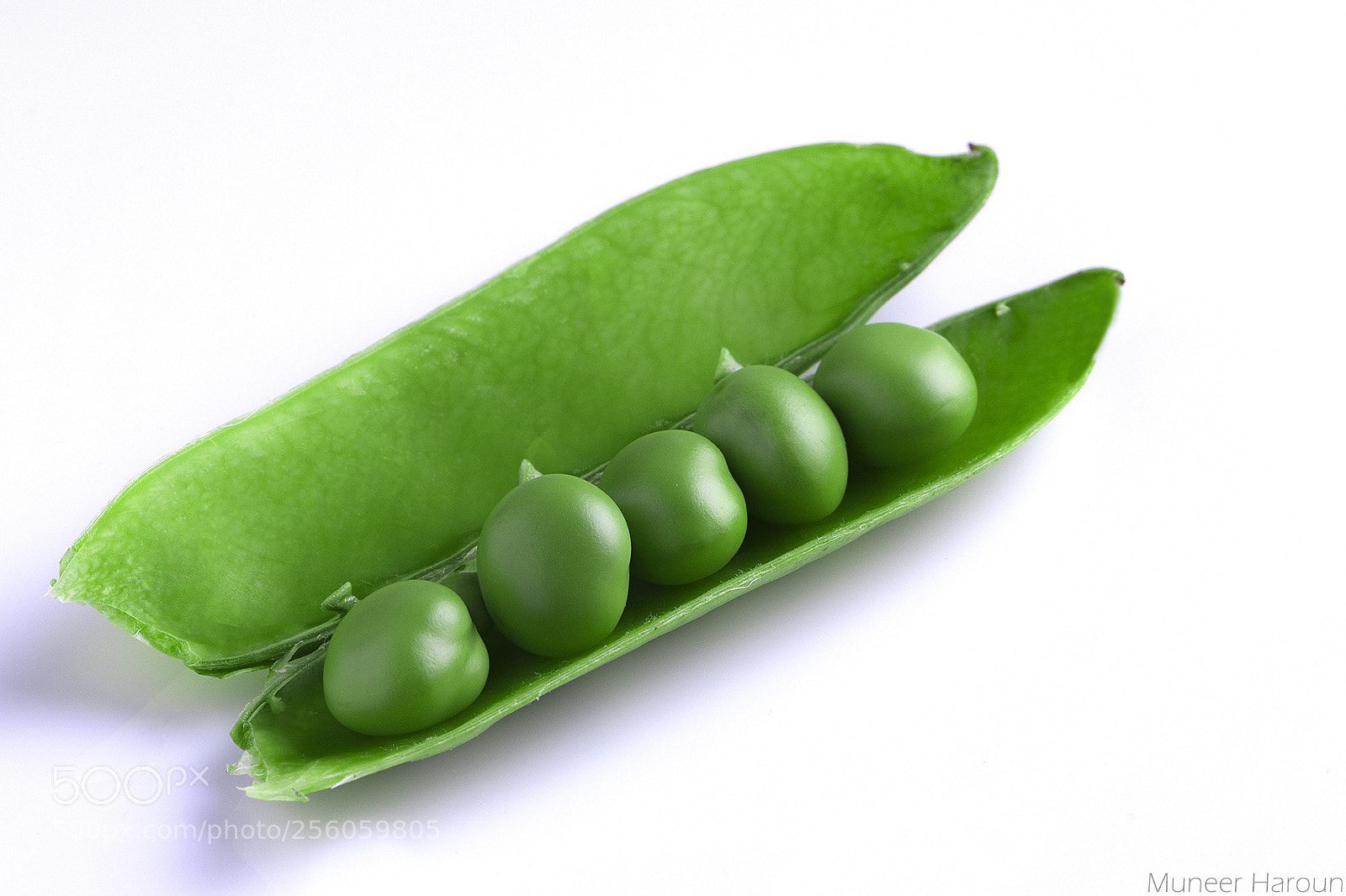 Nikon D7200 sample photo. Together green photography