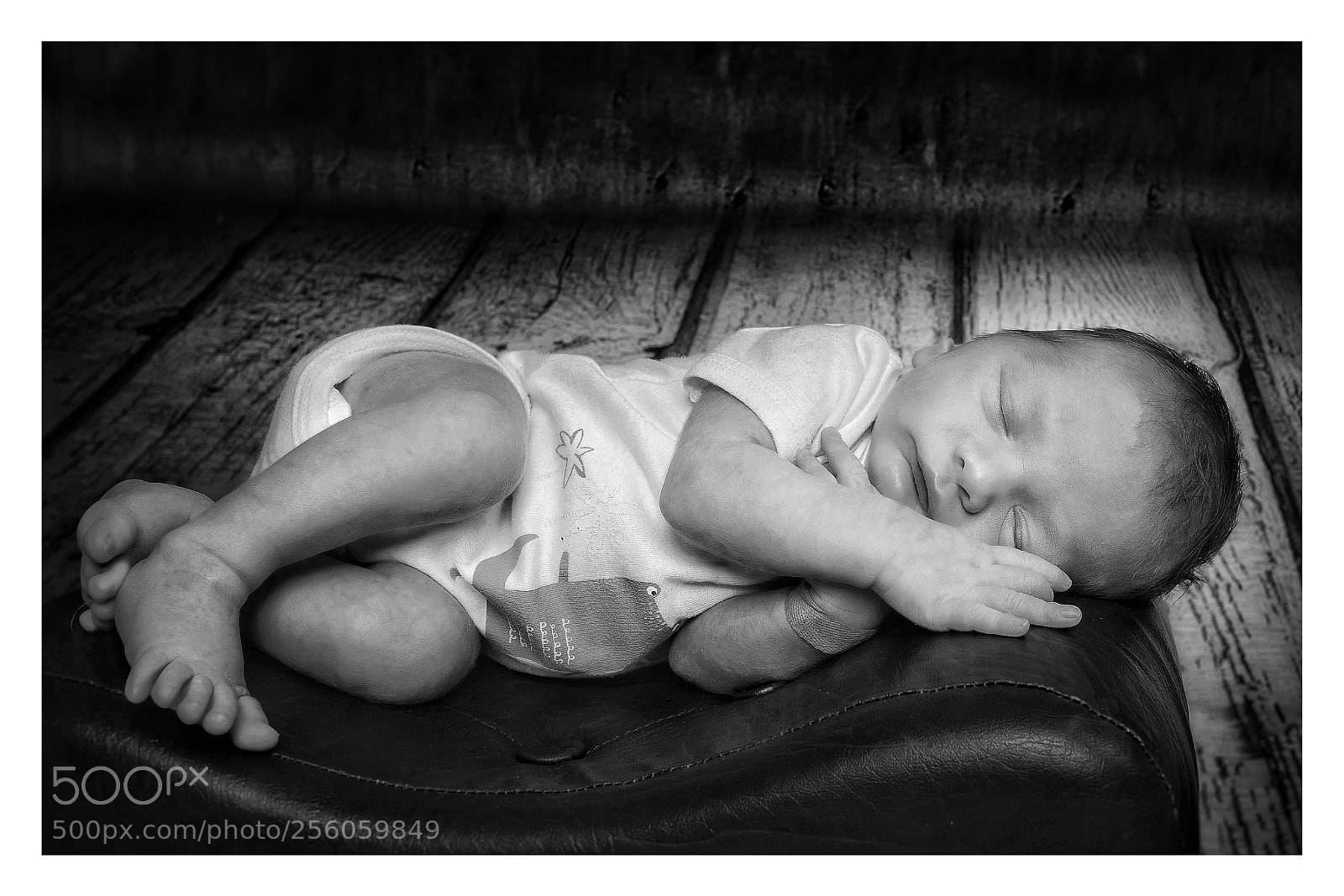 Nikon D7100 sample photo. Untitled photography