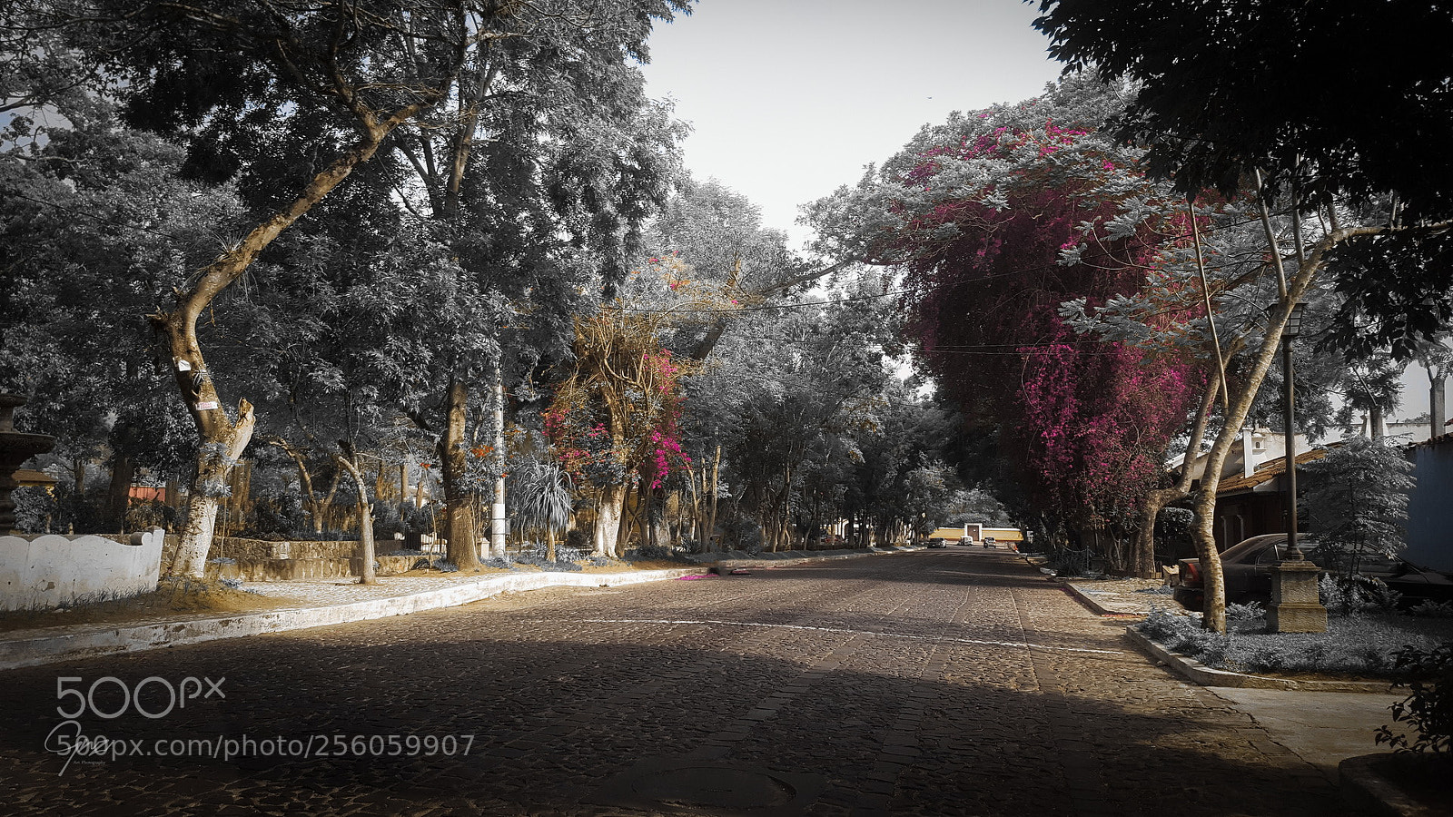 Samsung GALAXY S6 edge sample photo. Just an ir pic. photography