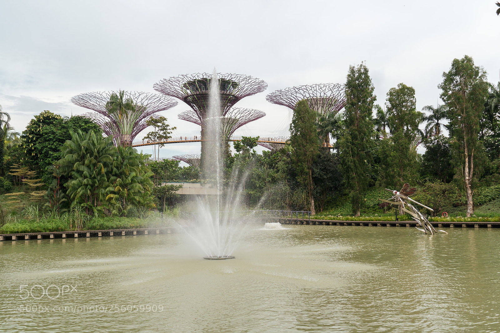 Sony a6500 sample photo. Gardens by the bay photography