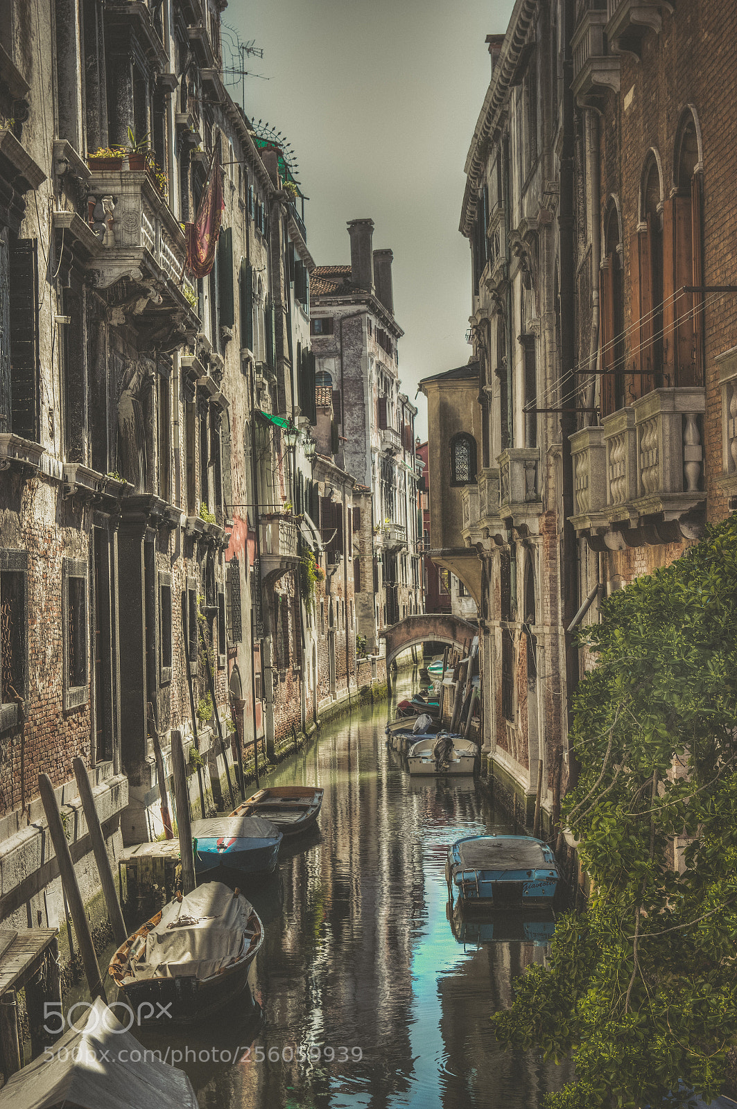Canon EOS 550D (EOS Rebel T2i / EOS Kiss X4) sample photo. Venezia due photography