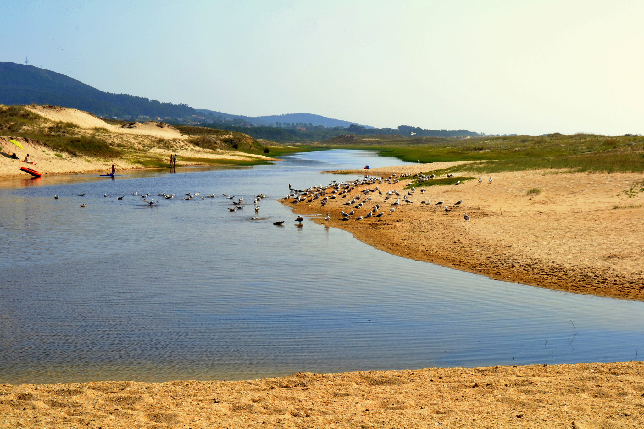 Nikon D3100 sample photo